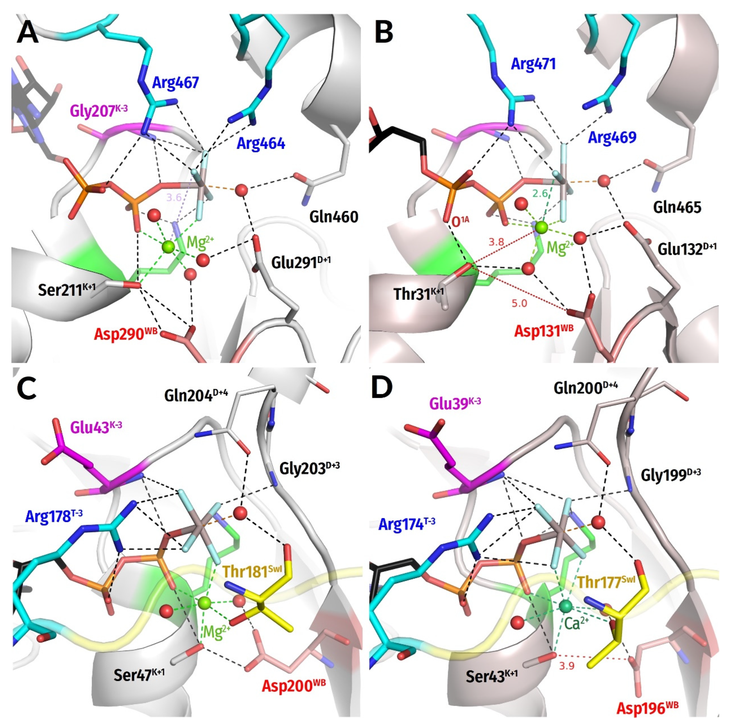 Biomolecules 12 01345 g006 Biomolecules 12 01345 g006