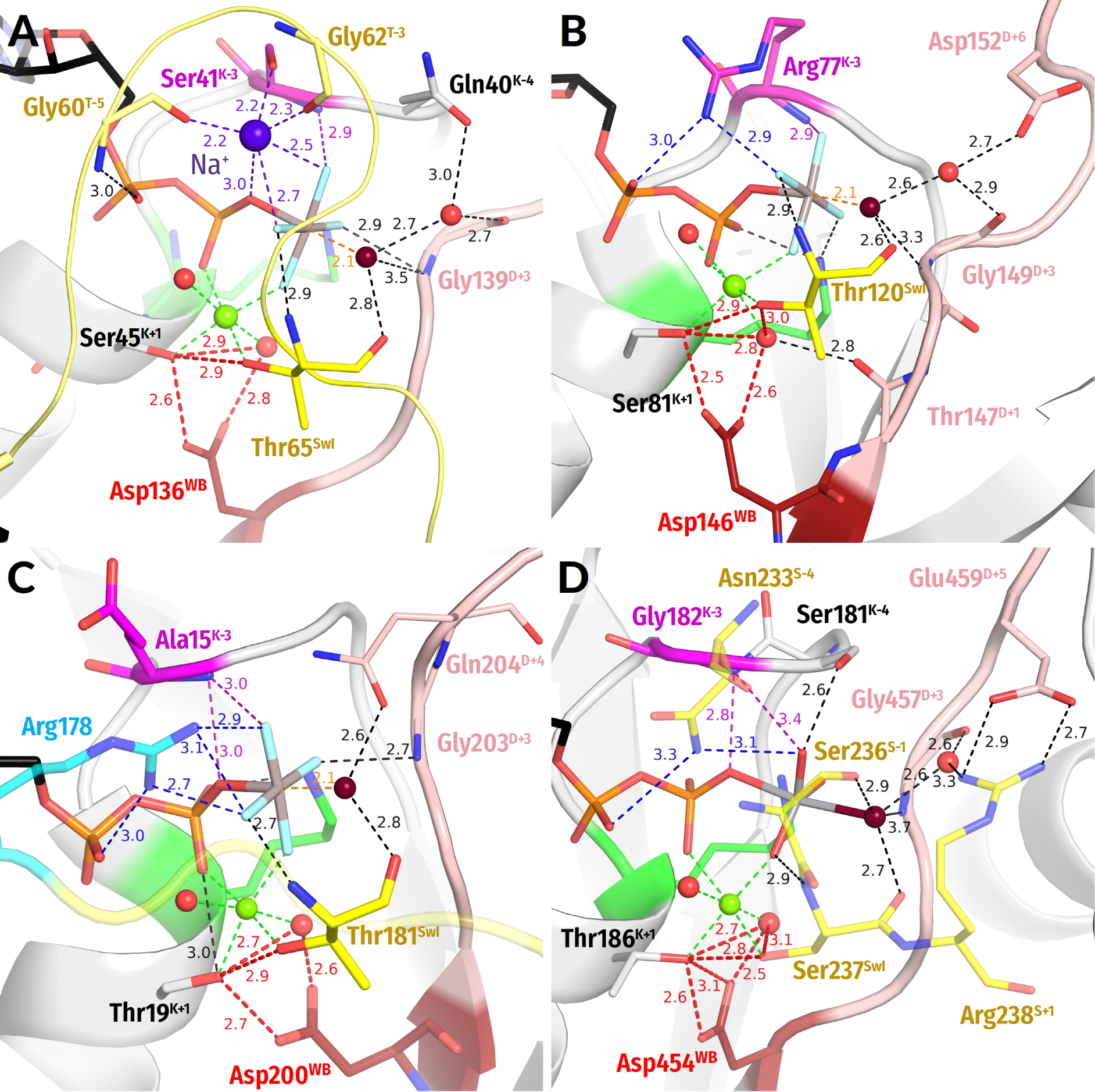 Biomolecules 12 01346 g003 Biomolecules 12 01346 g003