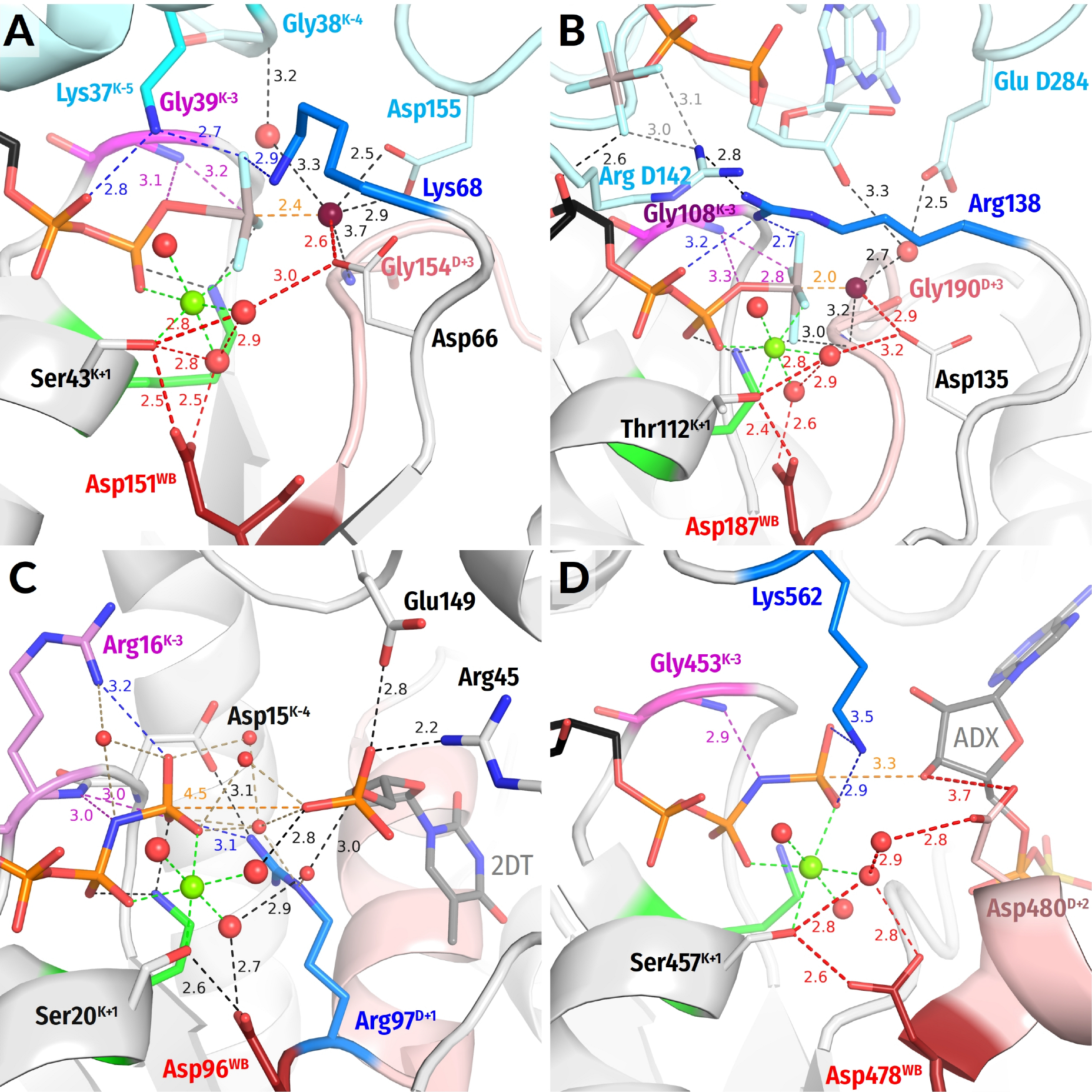 Biomolecules 12 01346 g004 Biomolecules 12 01346 g004