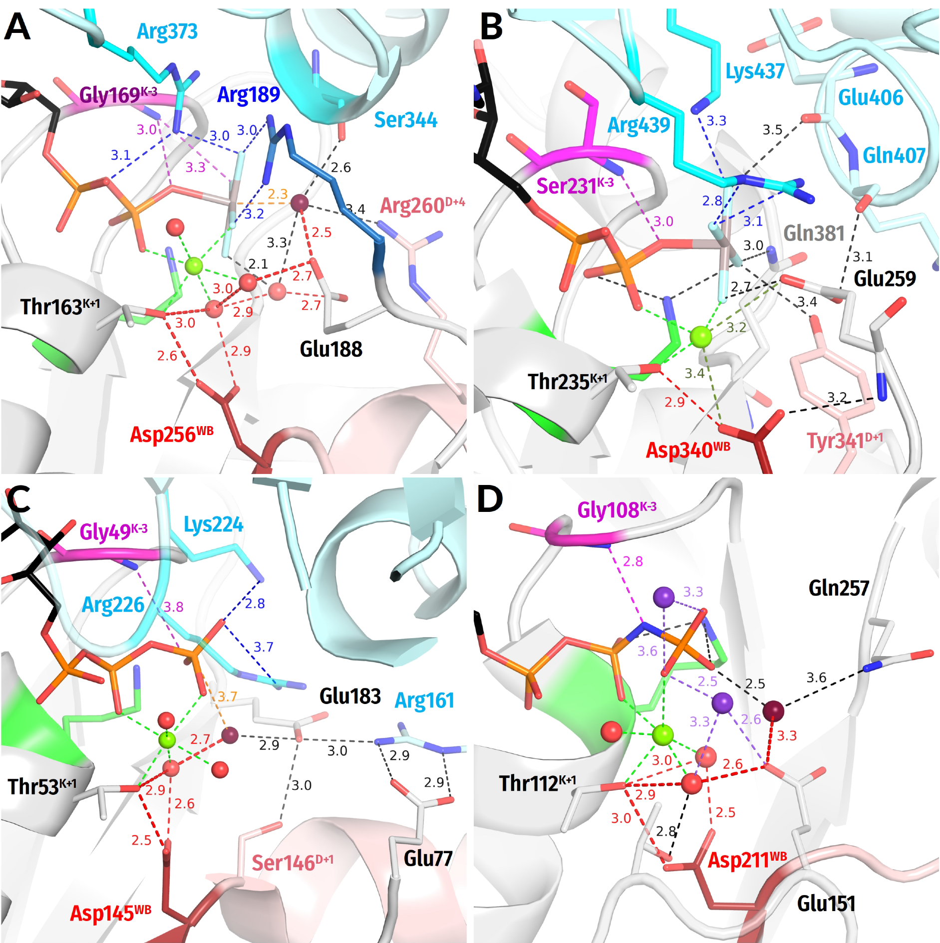 Biomolecules 12 01346 g006 Biomolecules 12 01346 g006