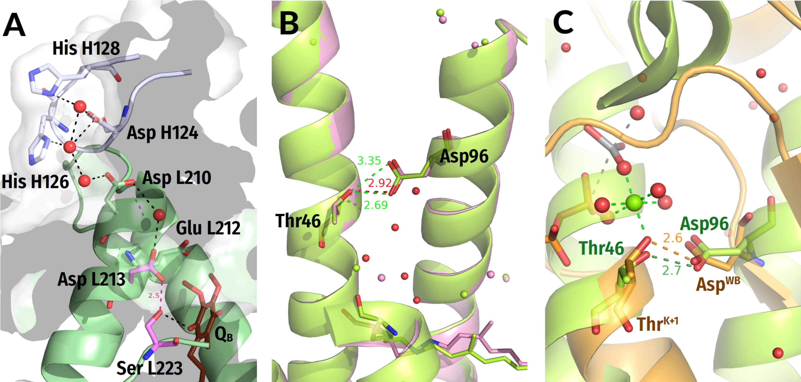 Biomolecules 12 01346 g009 Biomolecules 12 01346 g009