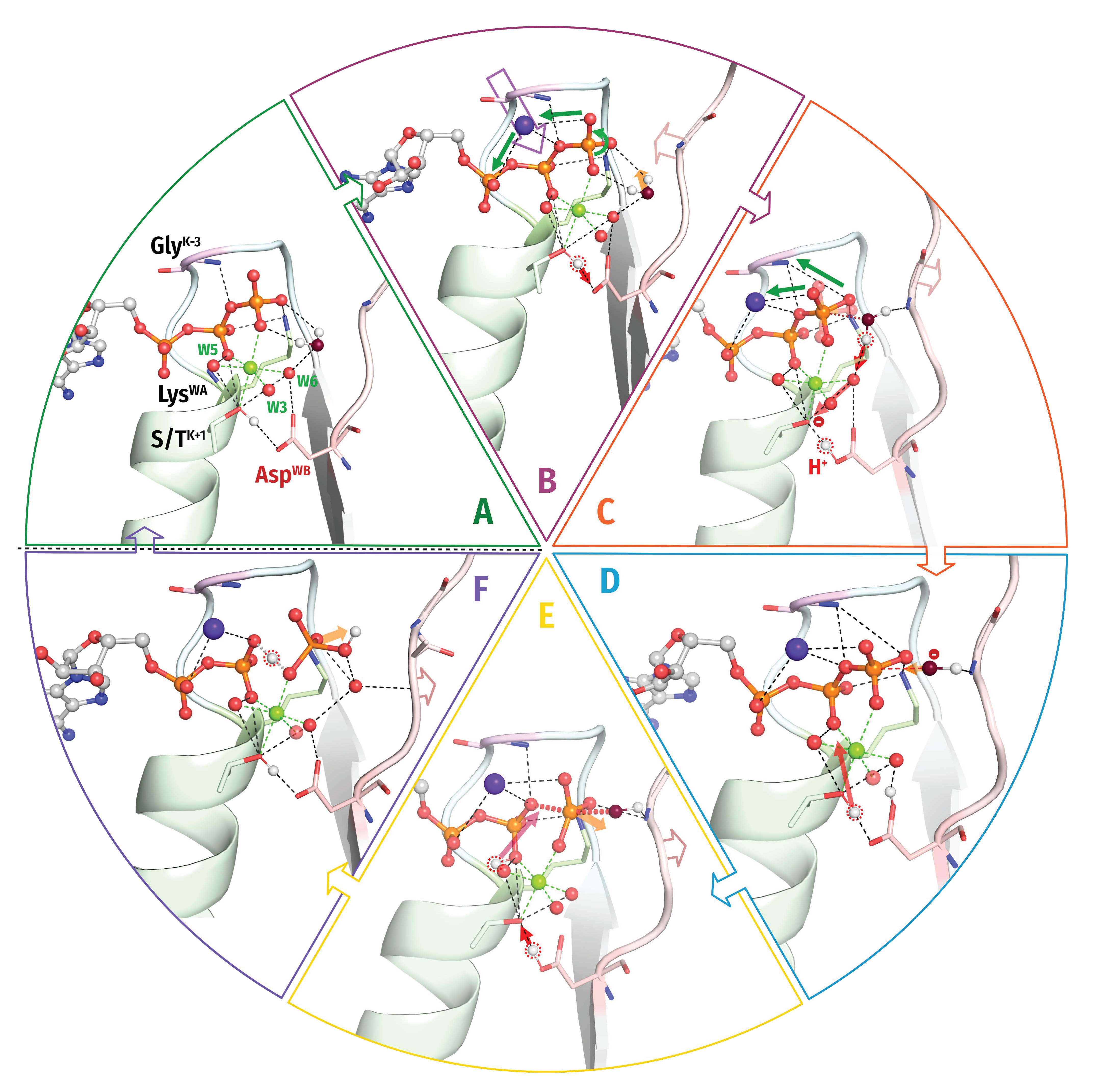 Biomolecules 12 01346 g012 Biomolecules 12 01346 g012