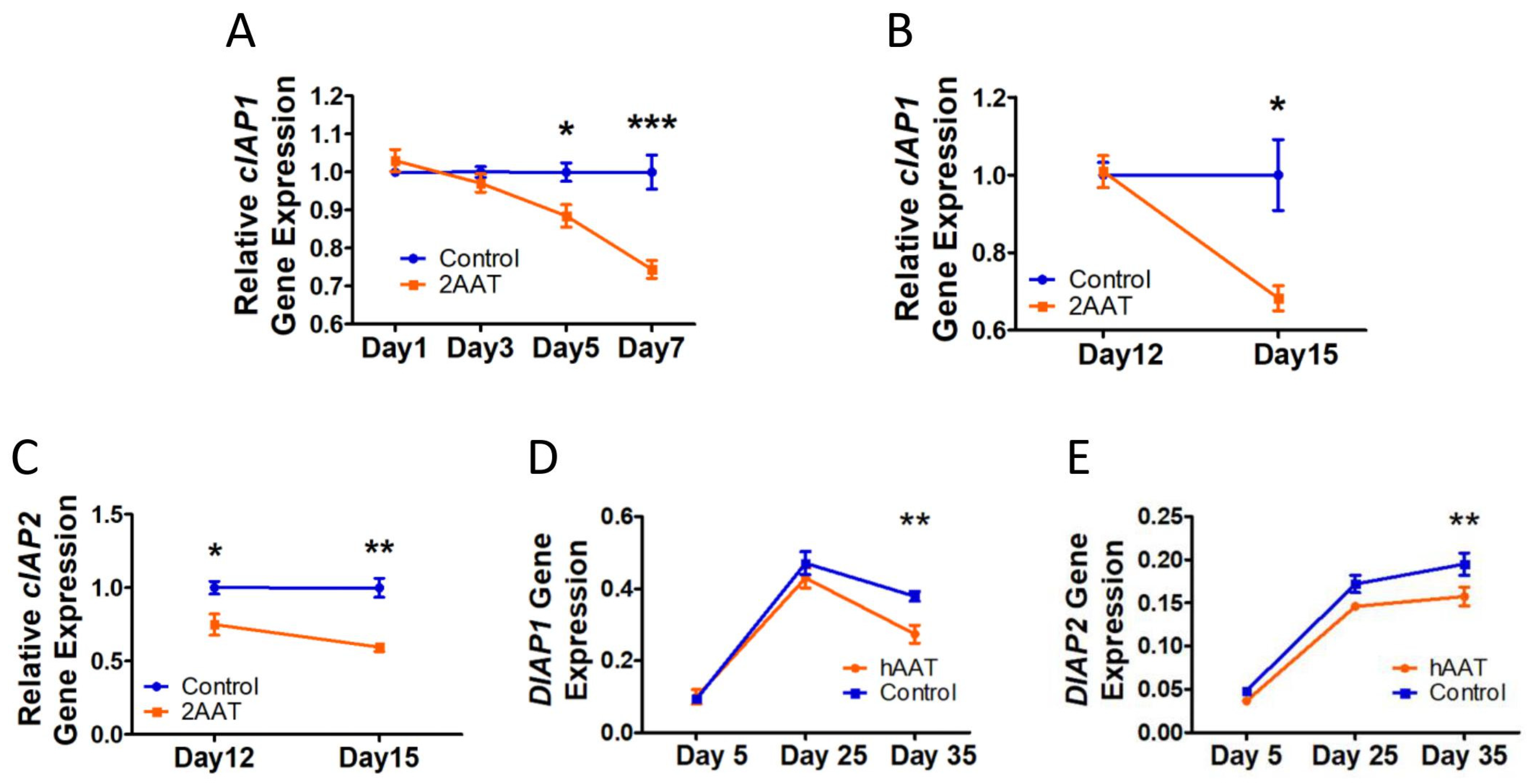 Biomolecules 12 01347 g004 Biomolecules 12 01347 g004