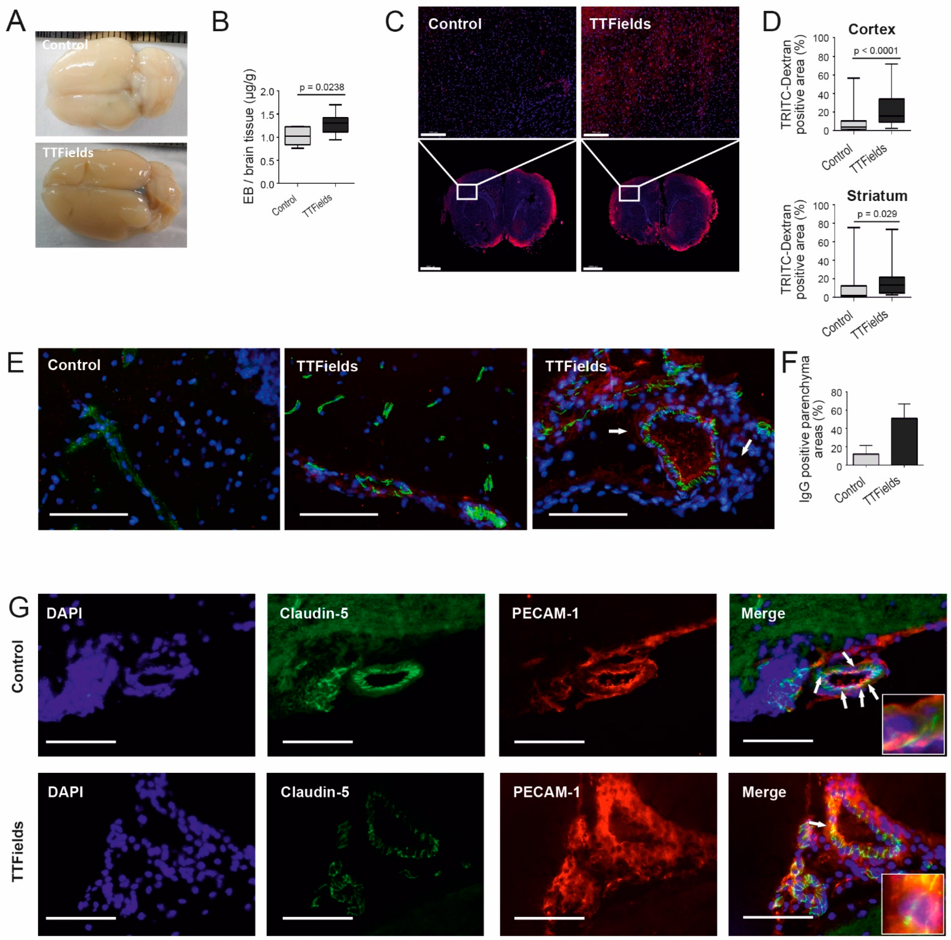 Biomolecules 12 01348 g004