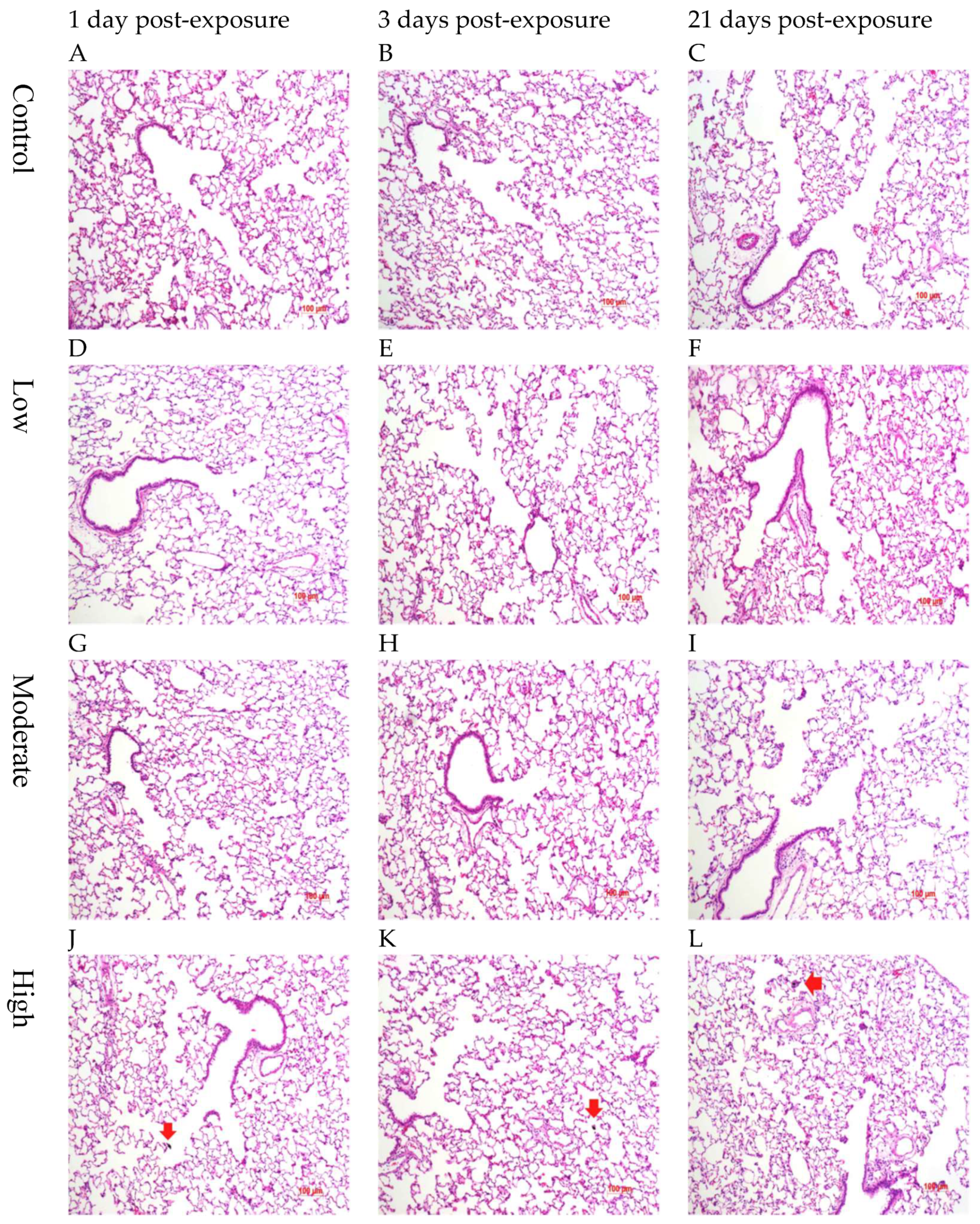 Biomolecules 12 01351 g006