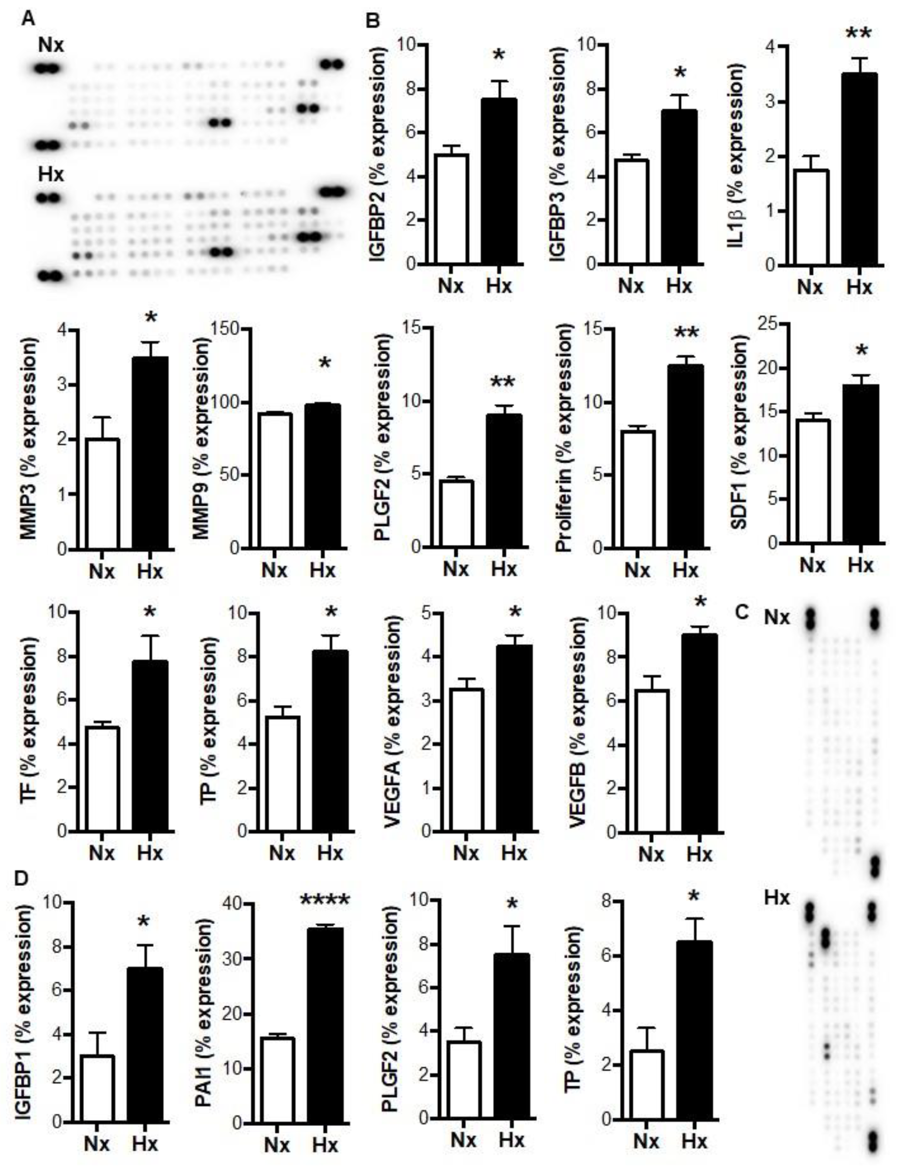 Biomolecules 12 01354 g001
