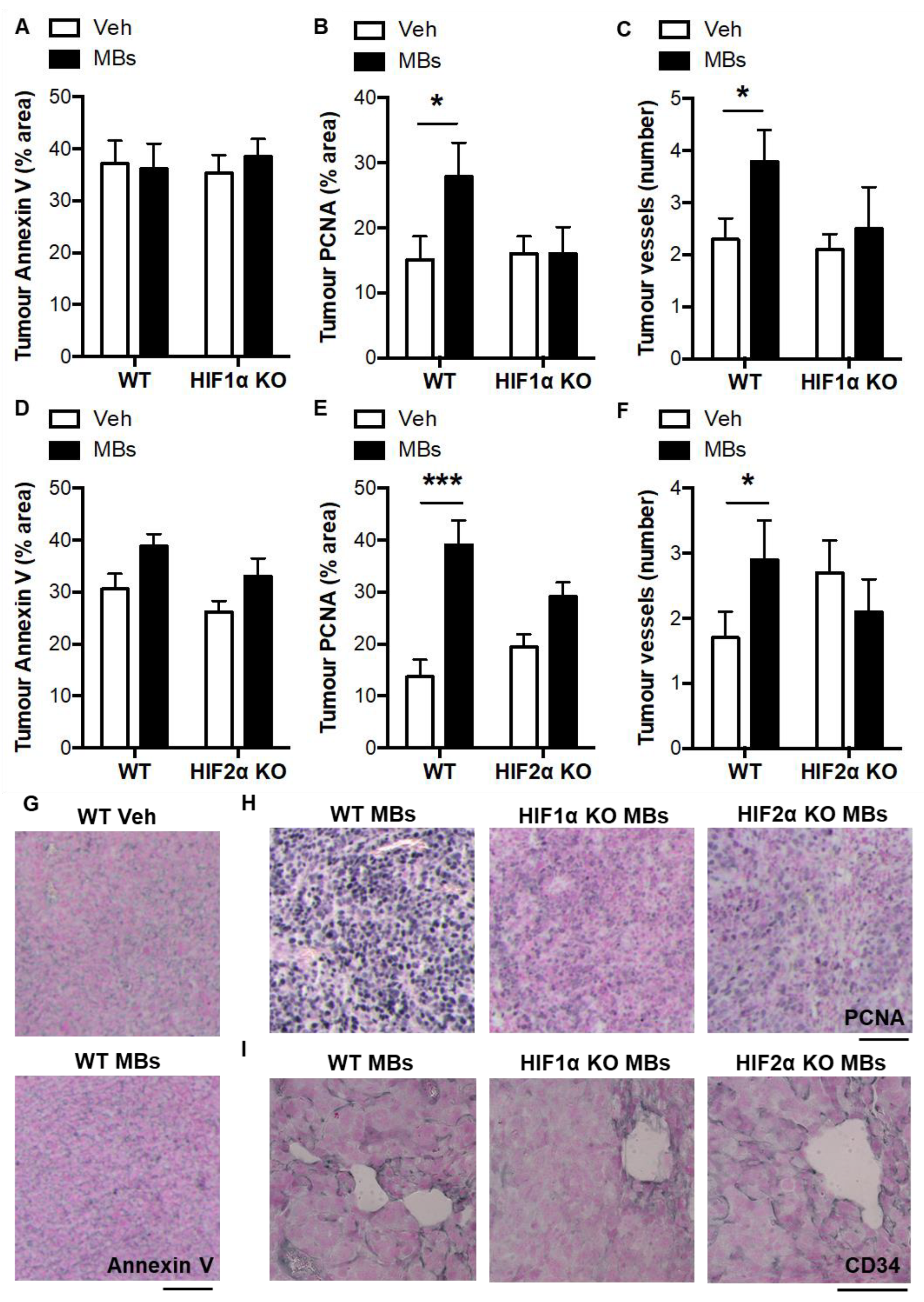 Biomolecules 12 01354 g005