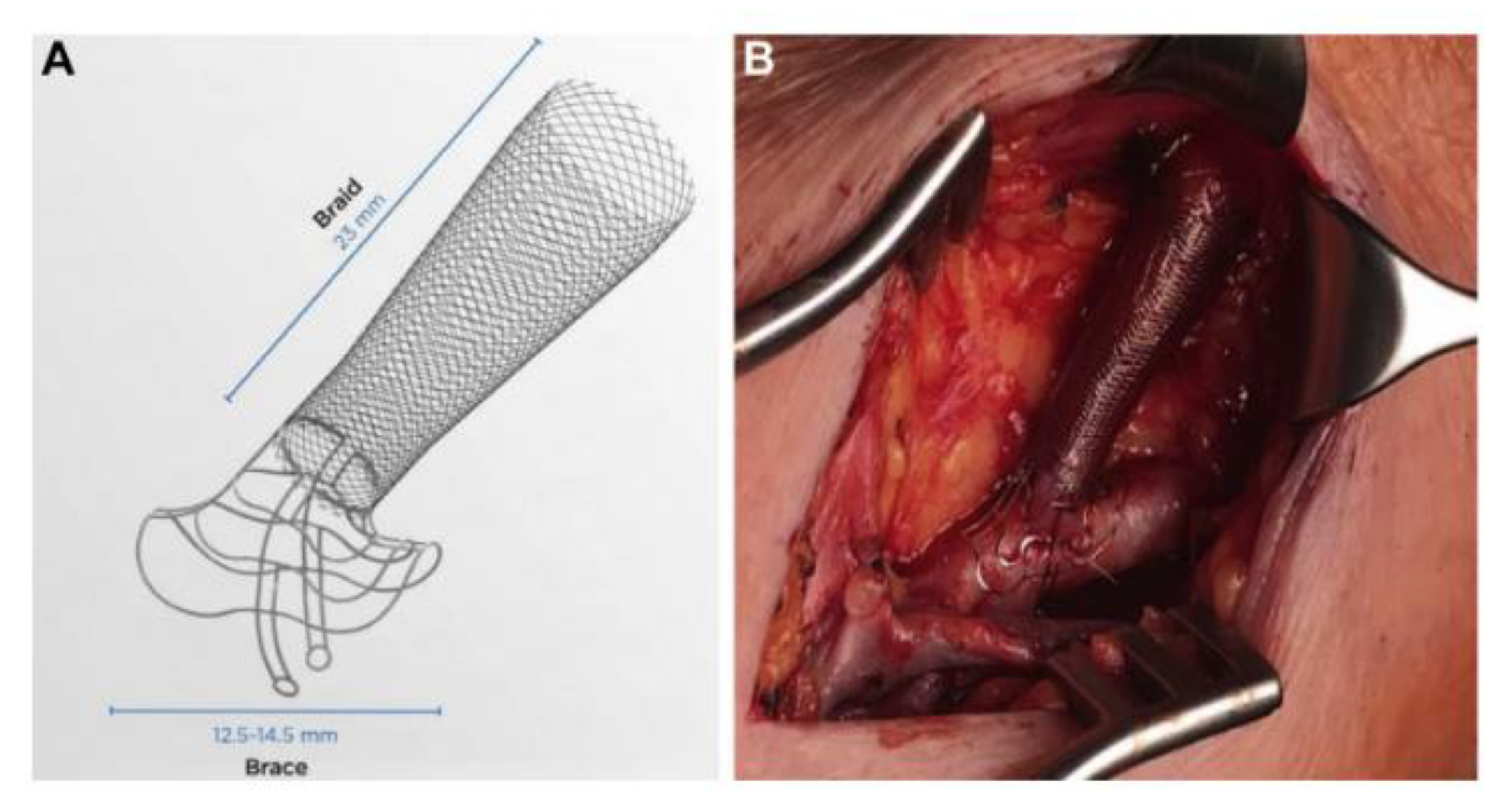 Biomolecules 12 01367 g003 Biomolecules 12 01367 g003