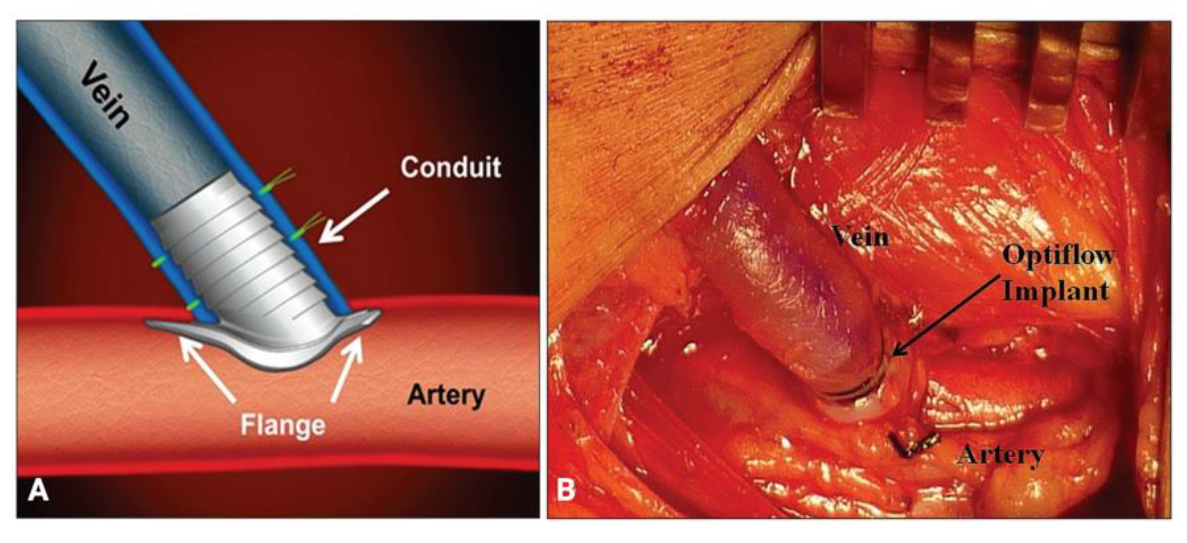 Biomolecules 12 01367 g004 Biomolecules 12 01367 g004