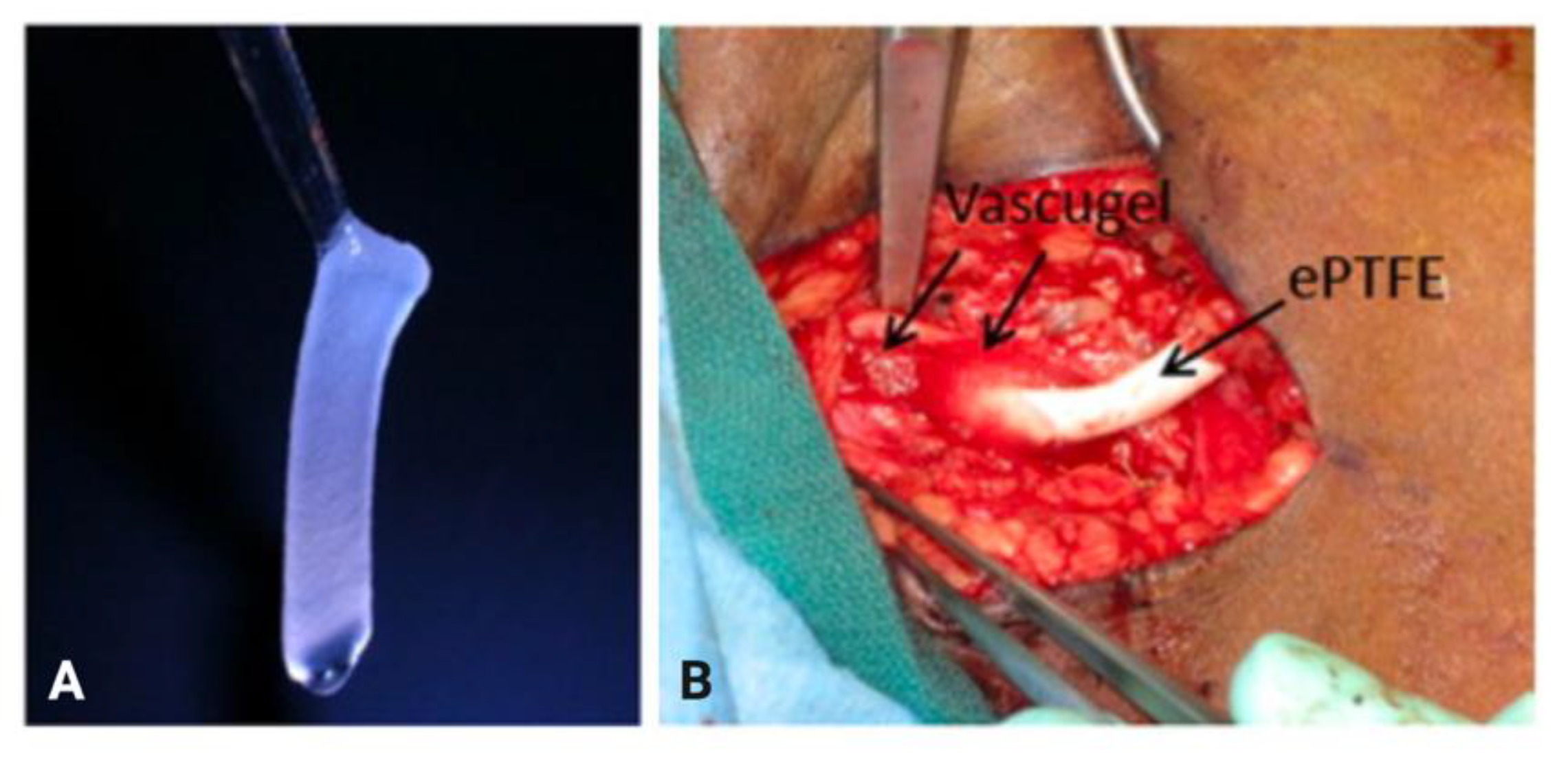 Biomolecules 12 01367 g007 Biomolecules 12 01367 g007