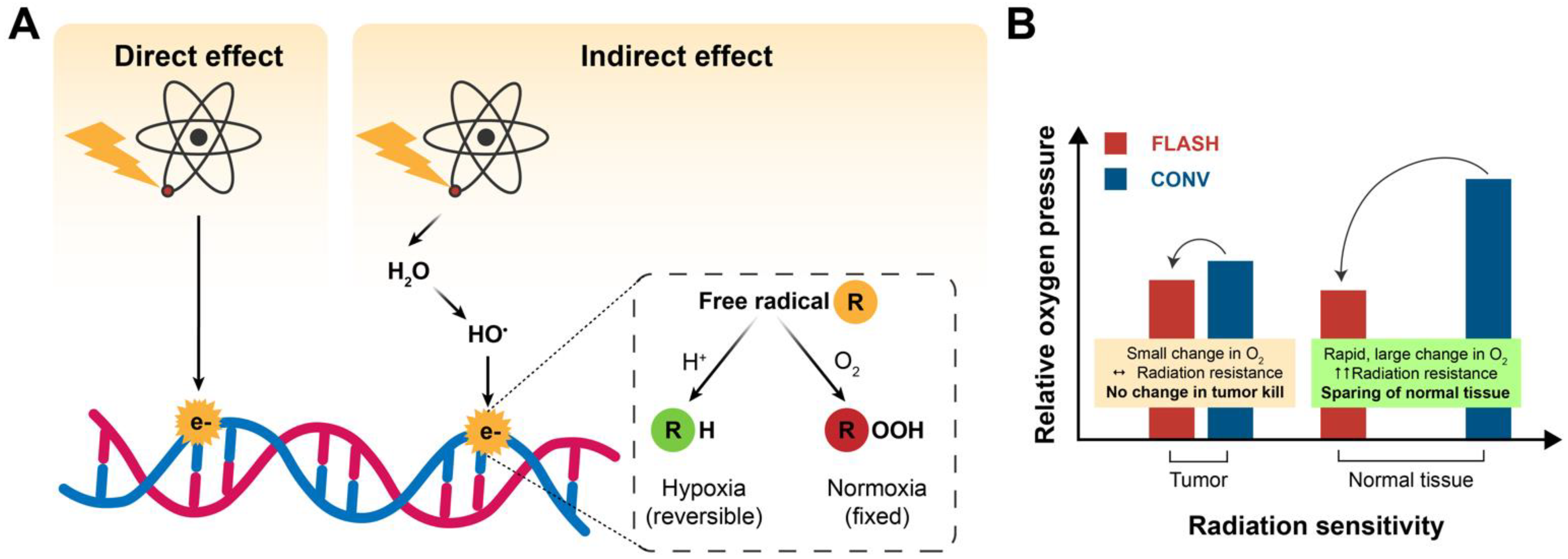 Biomolecules 12 01376 g003