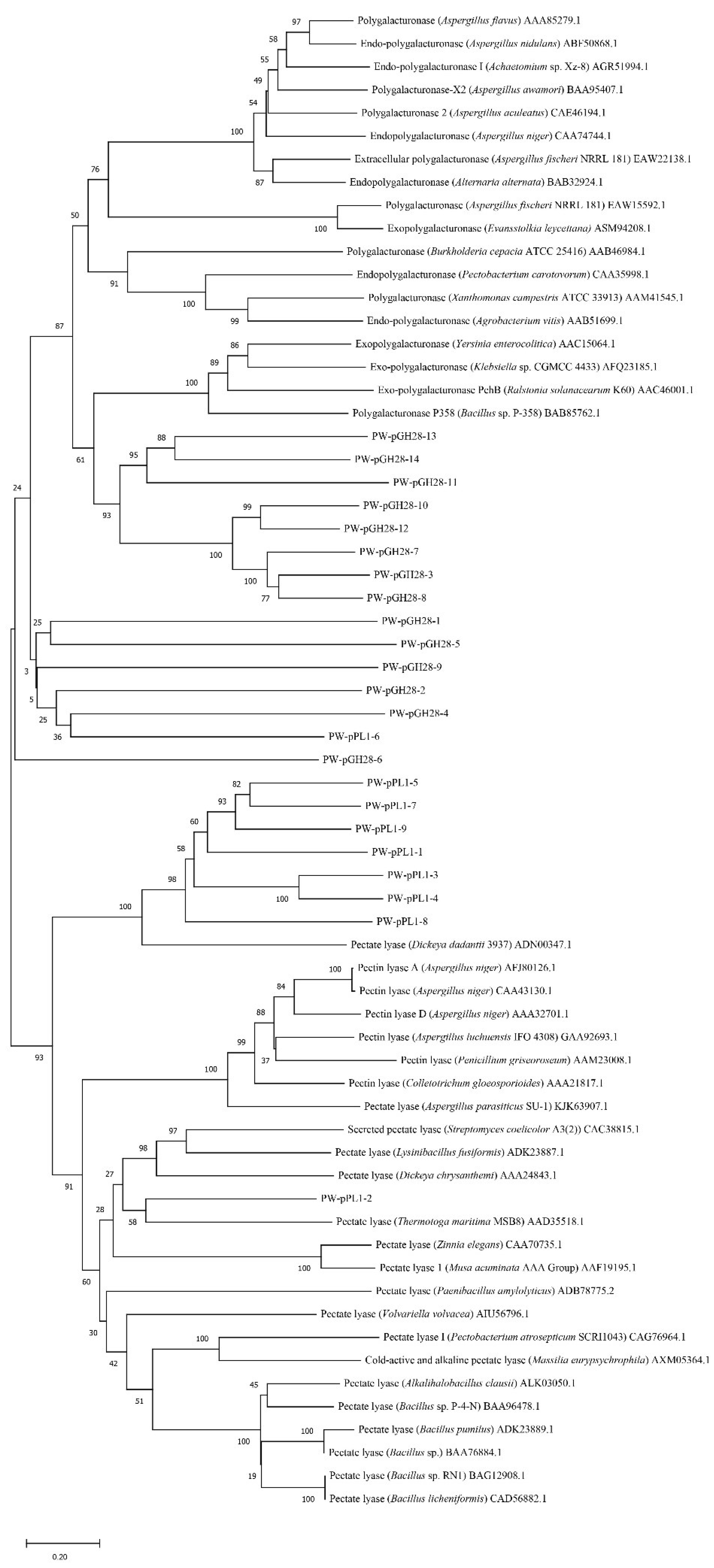 Biomolecules 12 01388 g001