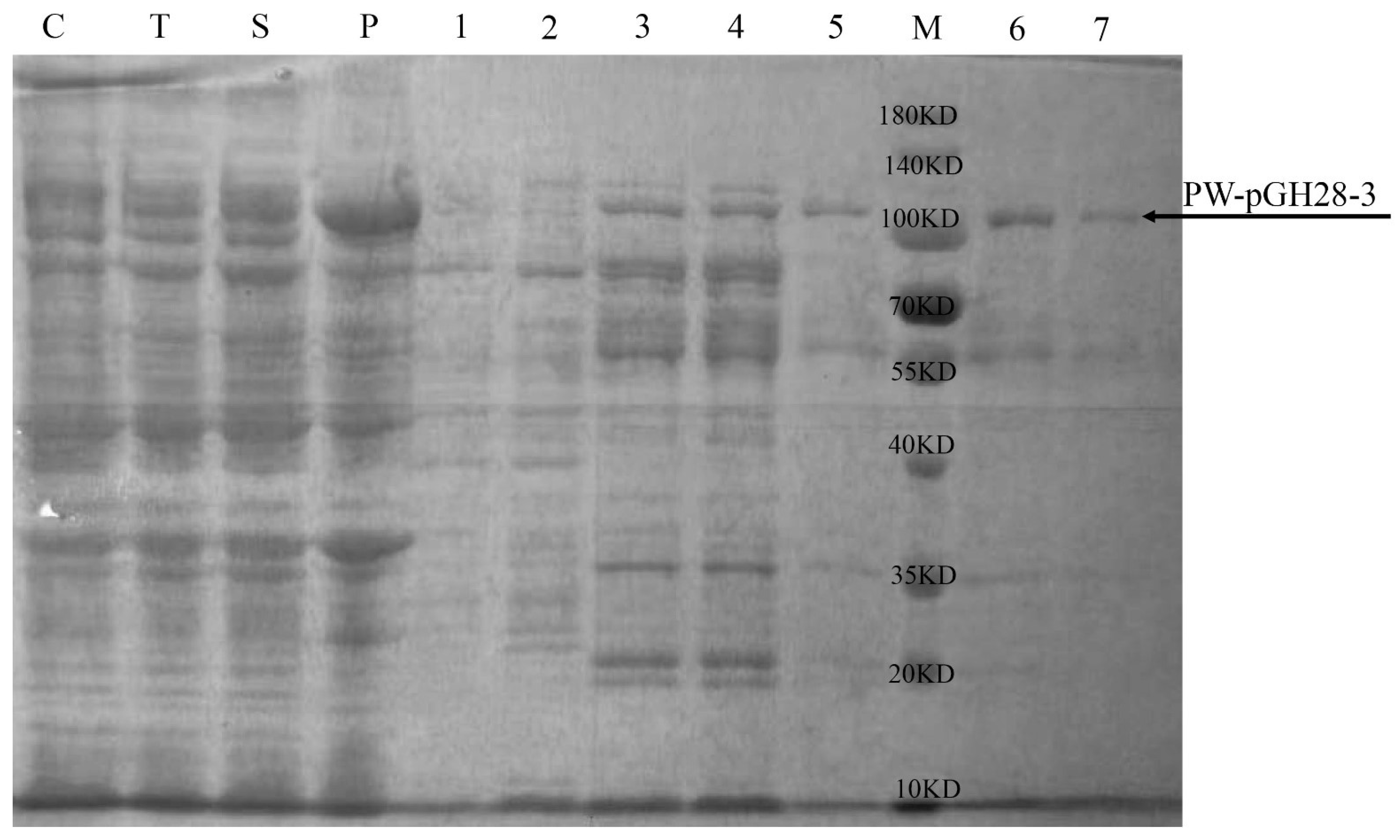 Biomolecules 12 01388 g002