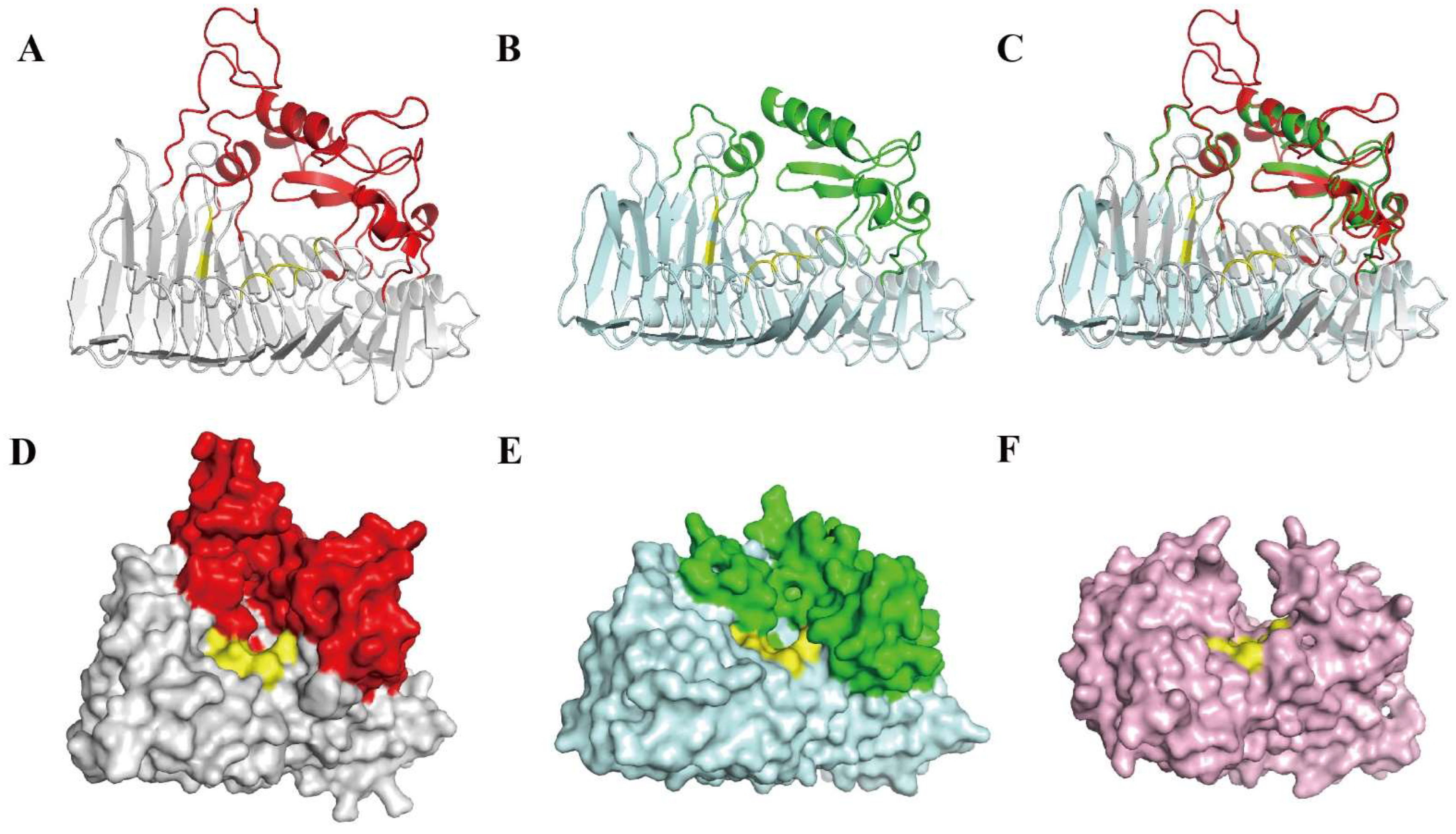 Biomolecules 12 01388 g004
