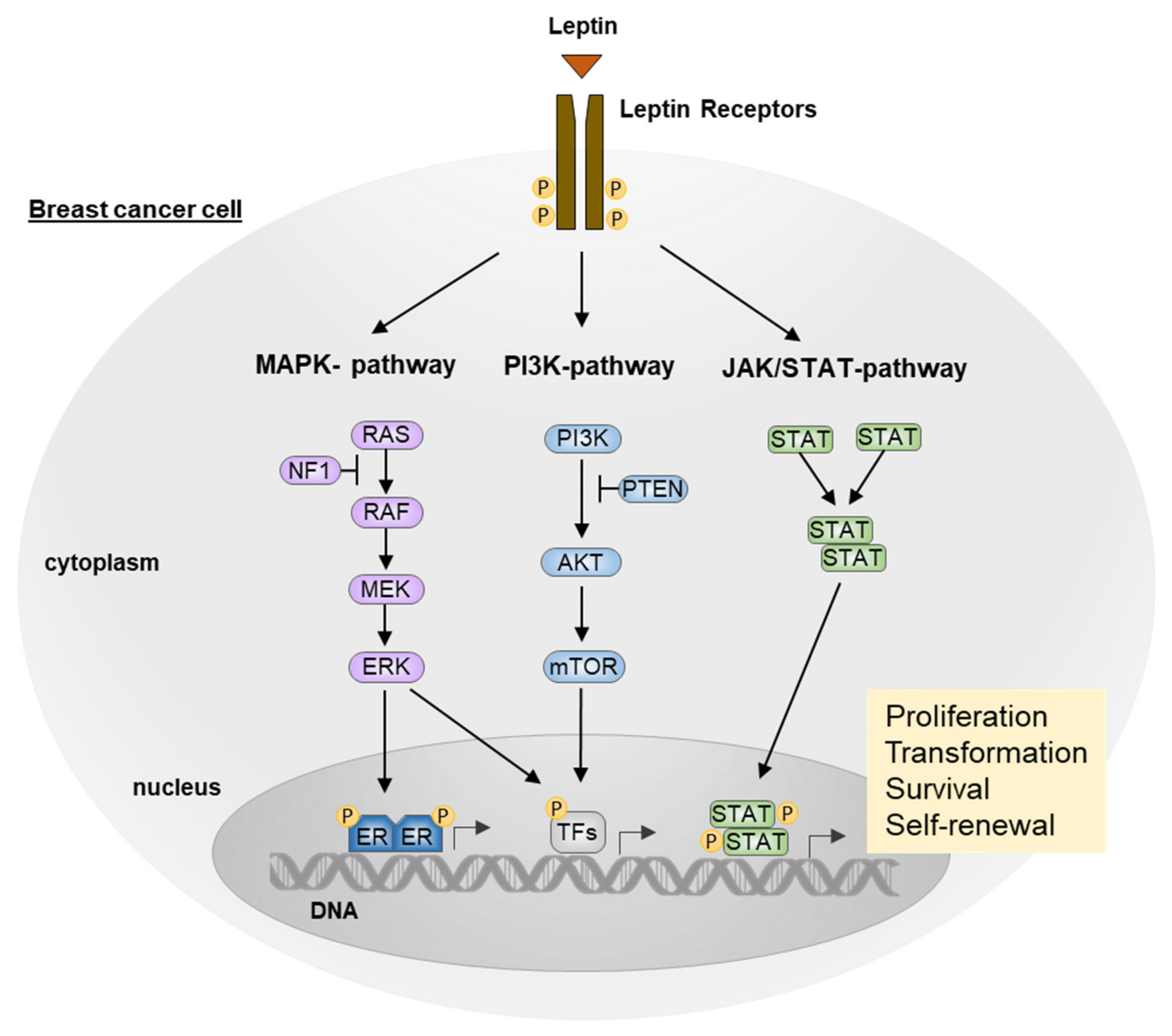 Biomolecules 12 01394 g002