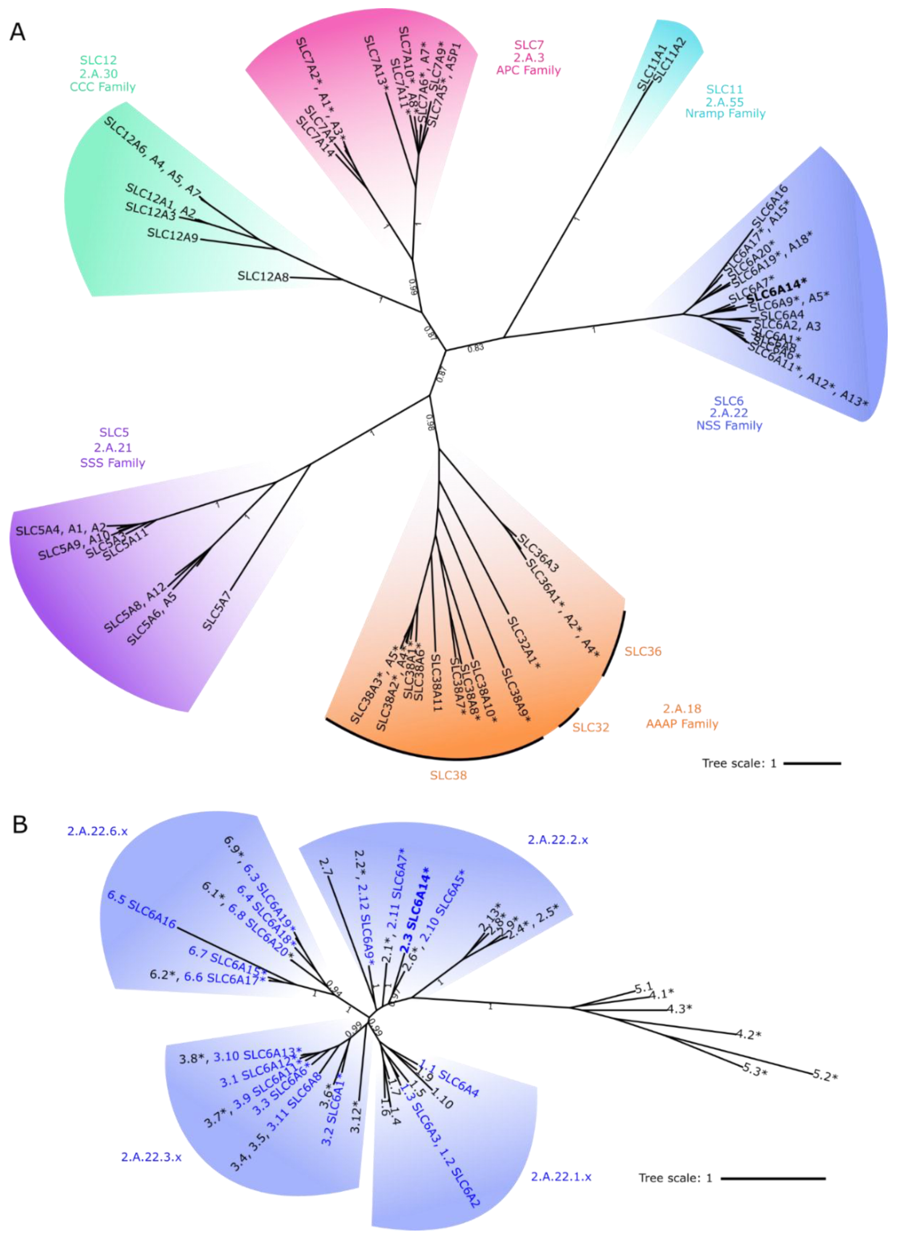 Biomolecules 12 01404 g001 Biomolecules 12 01404 g001