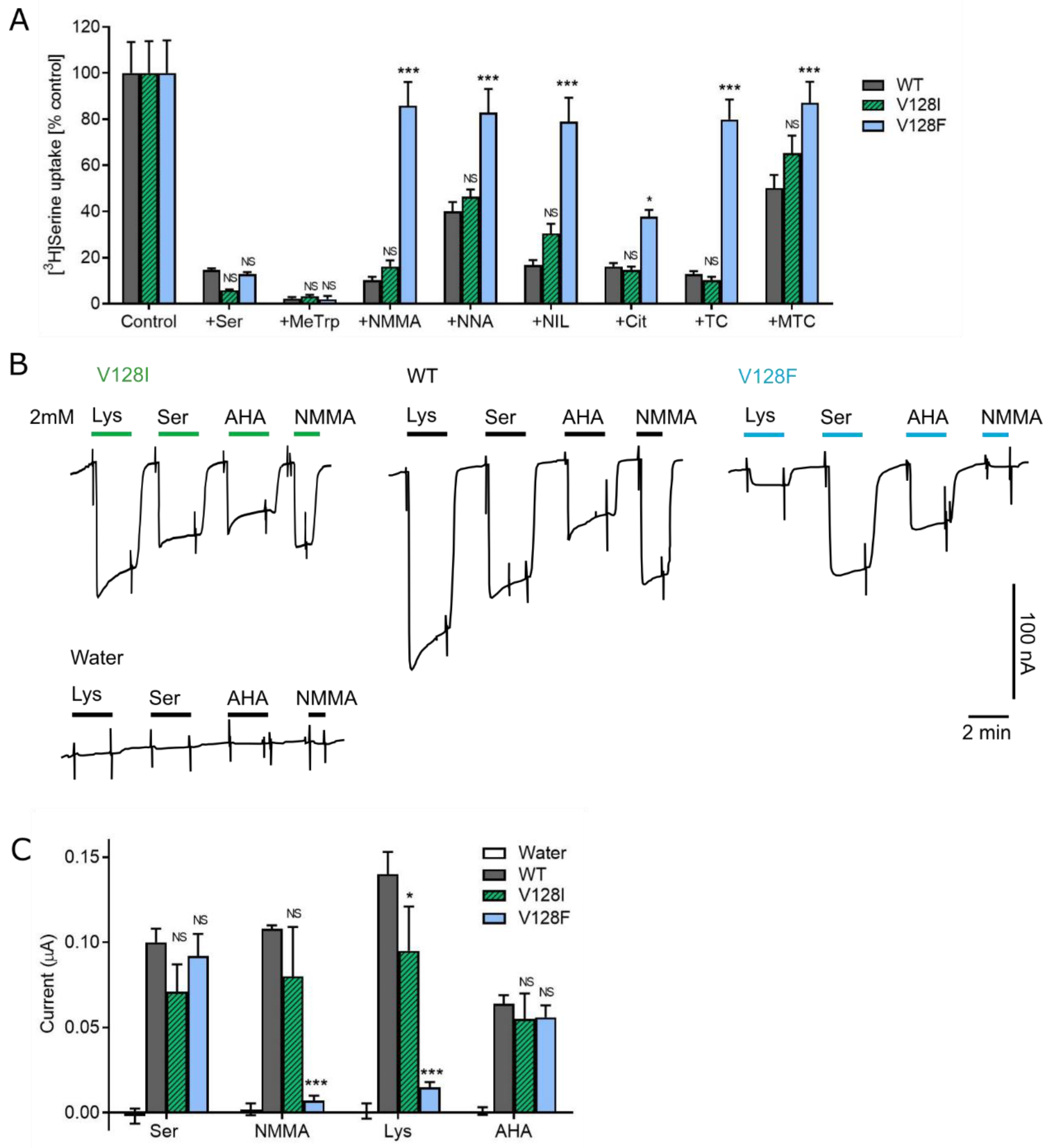 Biomolecules 12 01404 g004 Biomolecules 12 01404 g004