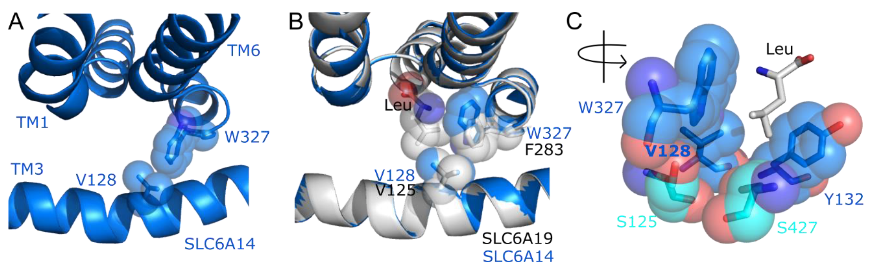 Biomolecules 12 01404 g005 Biomolecules 12 01404 g005