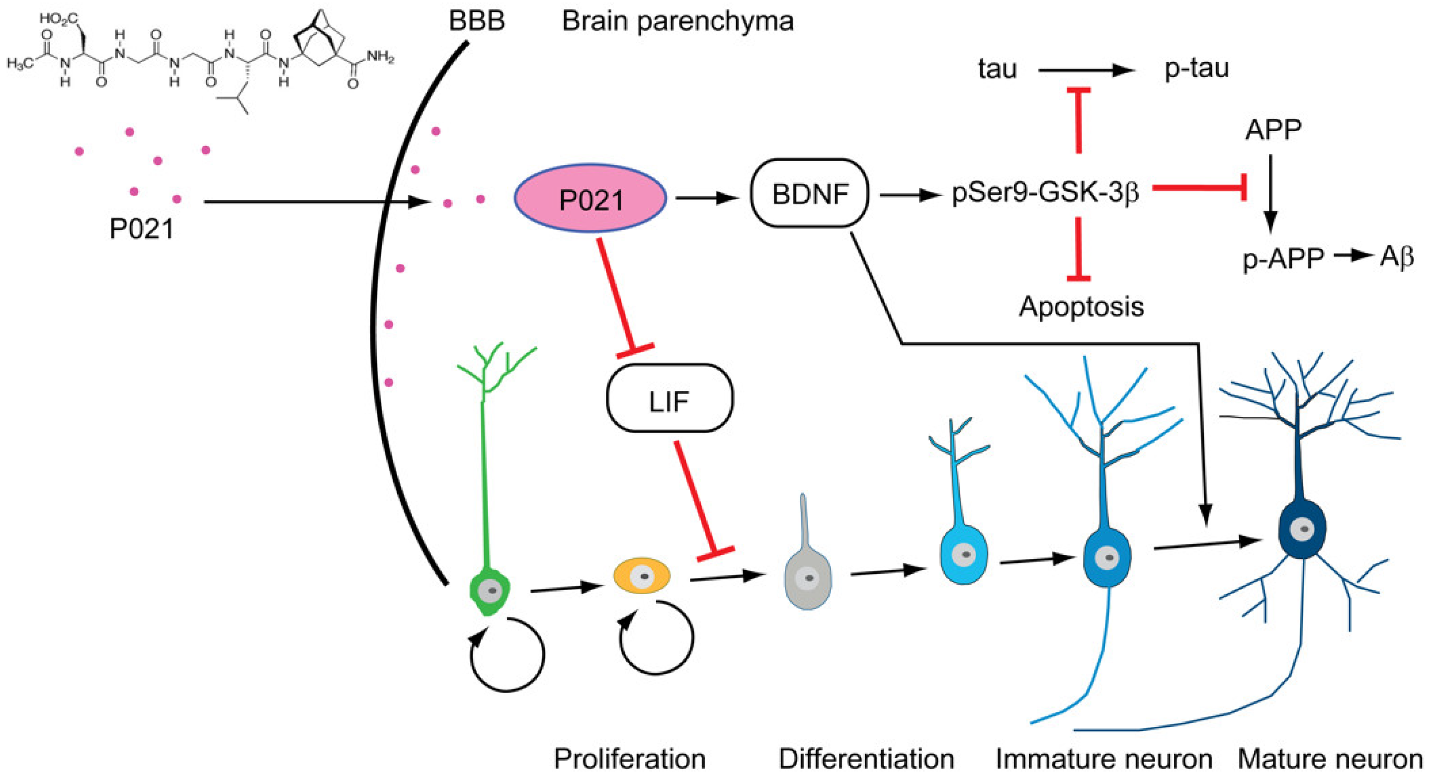 Biomolecules 12 01409 g003