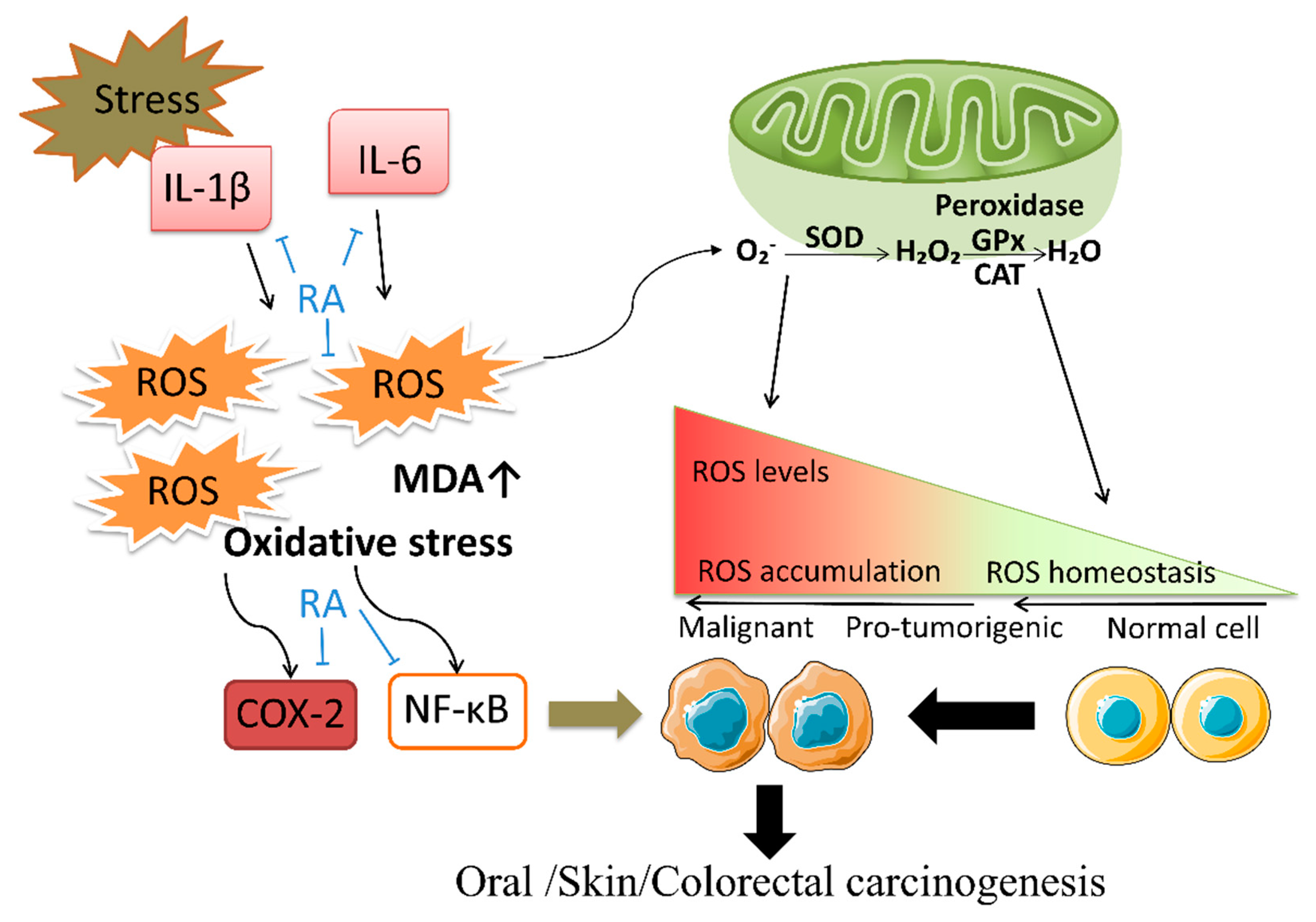 Biomolecules 12 01410 g002