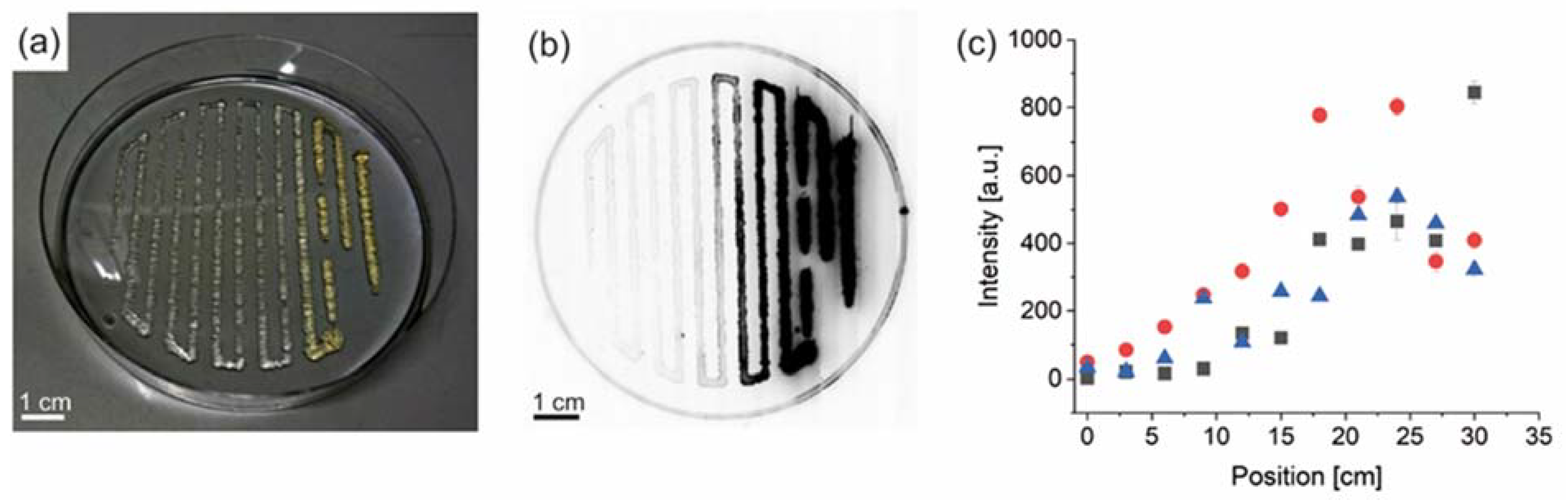 Biomolecules 12 01413 g002 Biomolecules 12 01413 g002