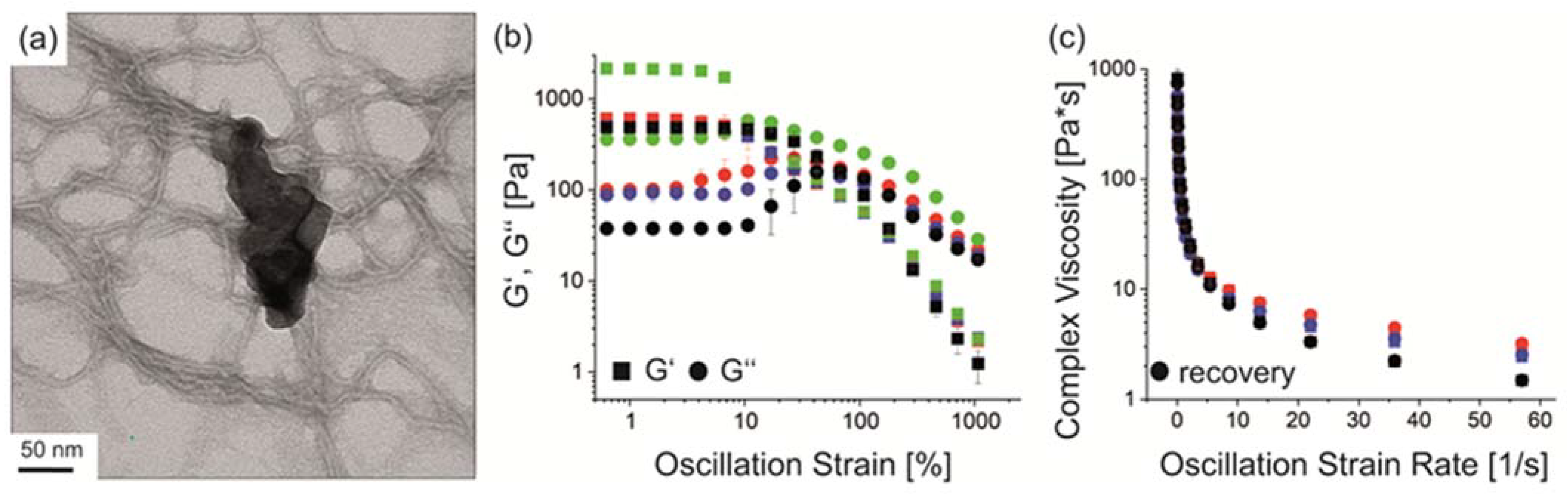 Biomolecules 12 01413 g003 Biomolecules 12 01413 g003