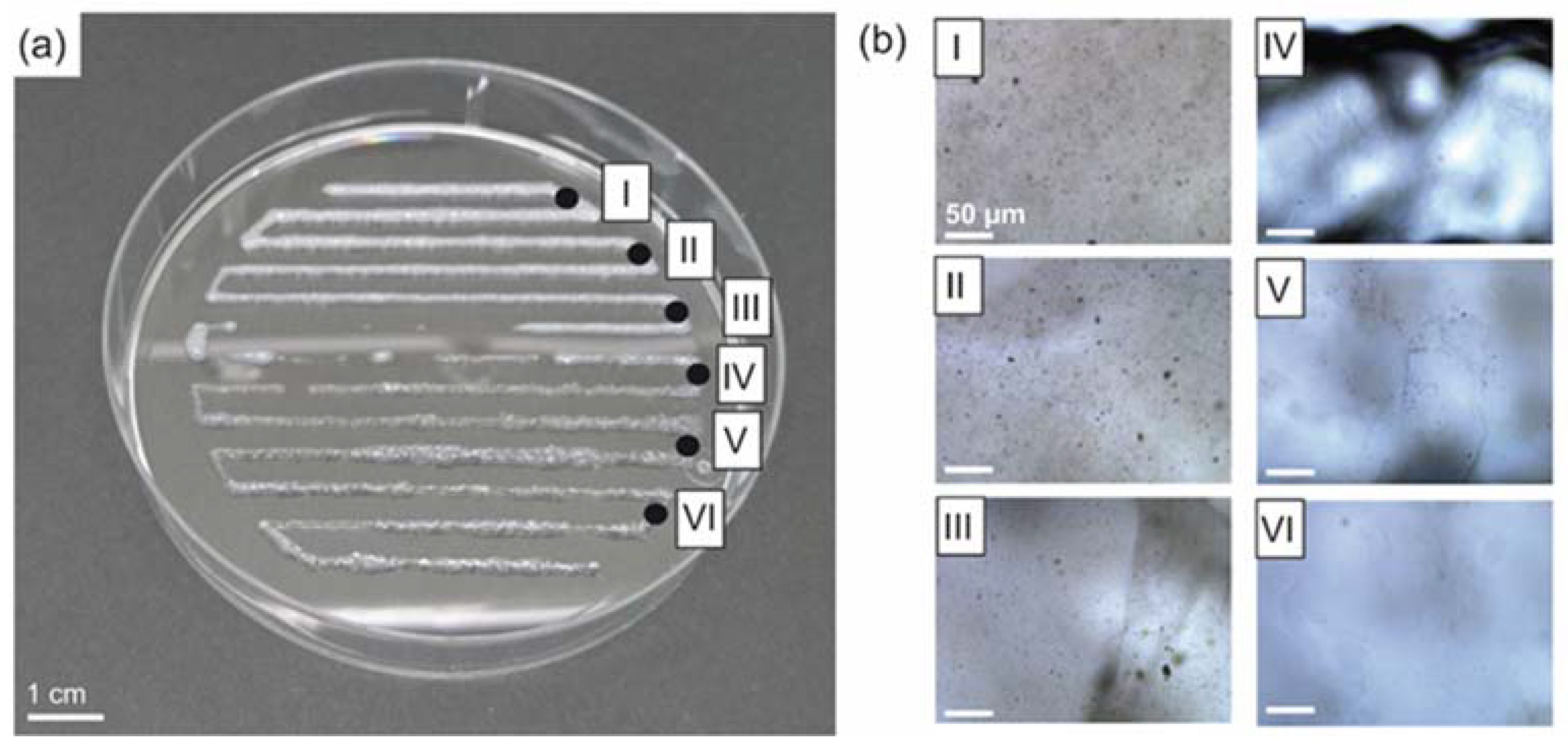 Biomolecules 12 01413 g004 Biomolecules 12 01413 g004