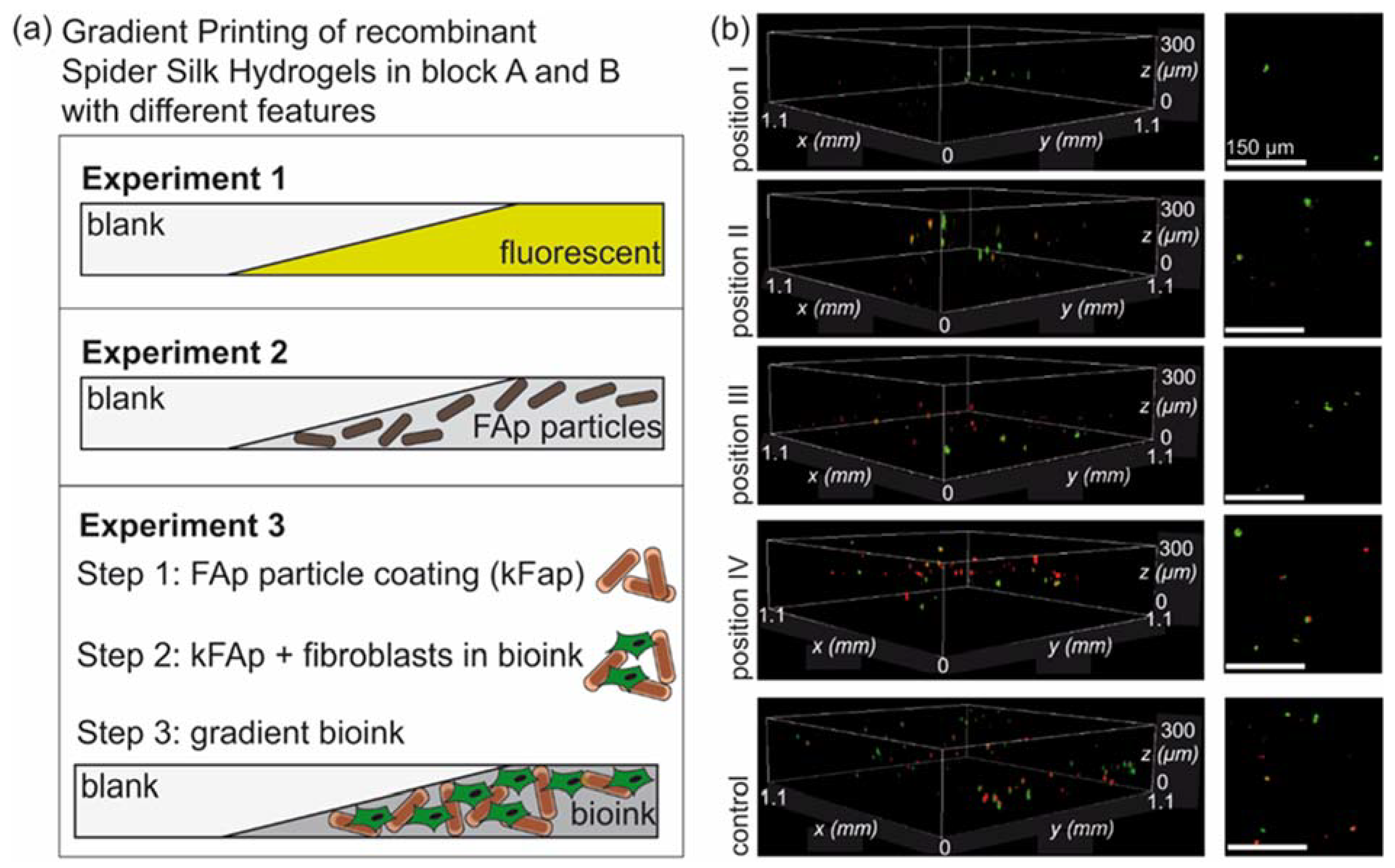 Biomolecules 12 01413 g005 Biomolecules 12 01413 g005