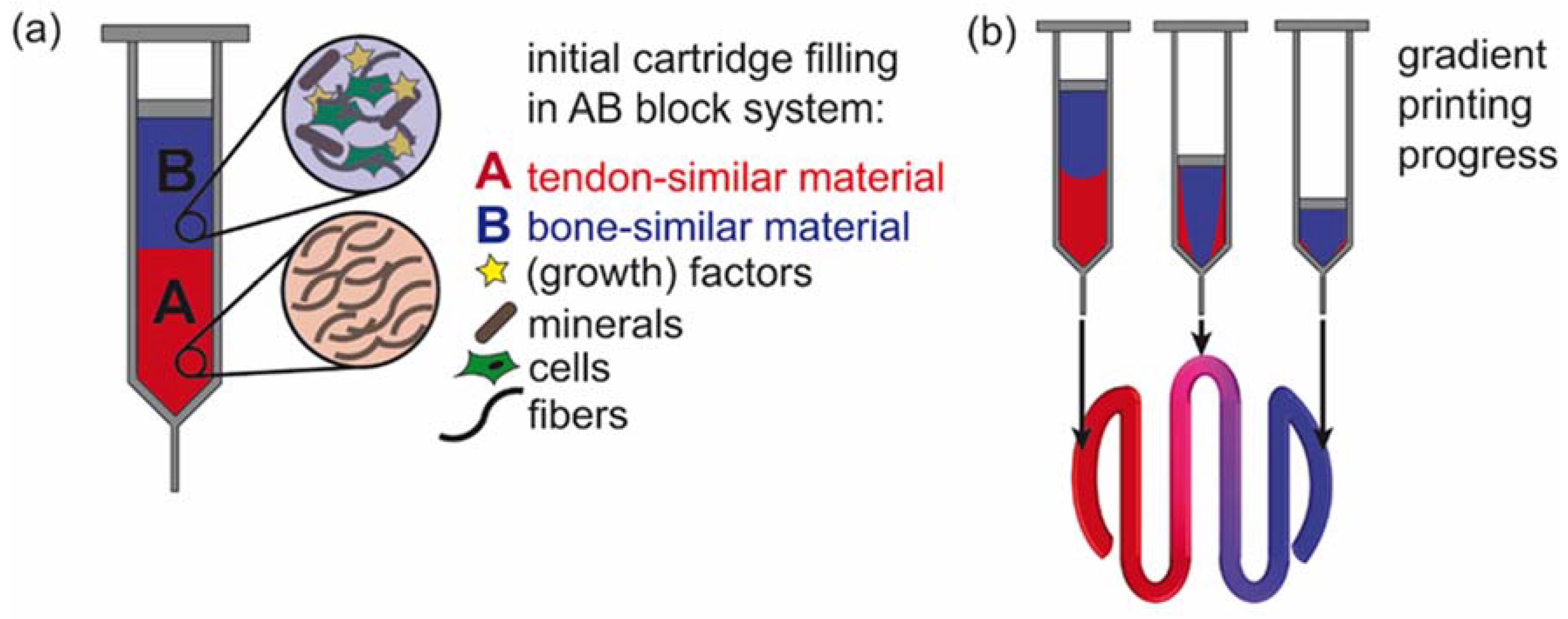 Biomolecules 12 01413 g006 Biomolecules 12 01413 g006