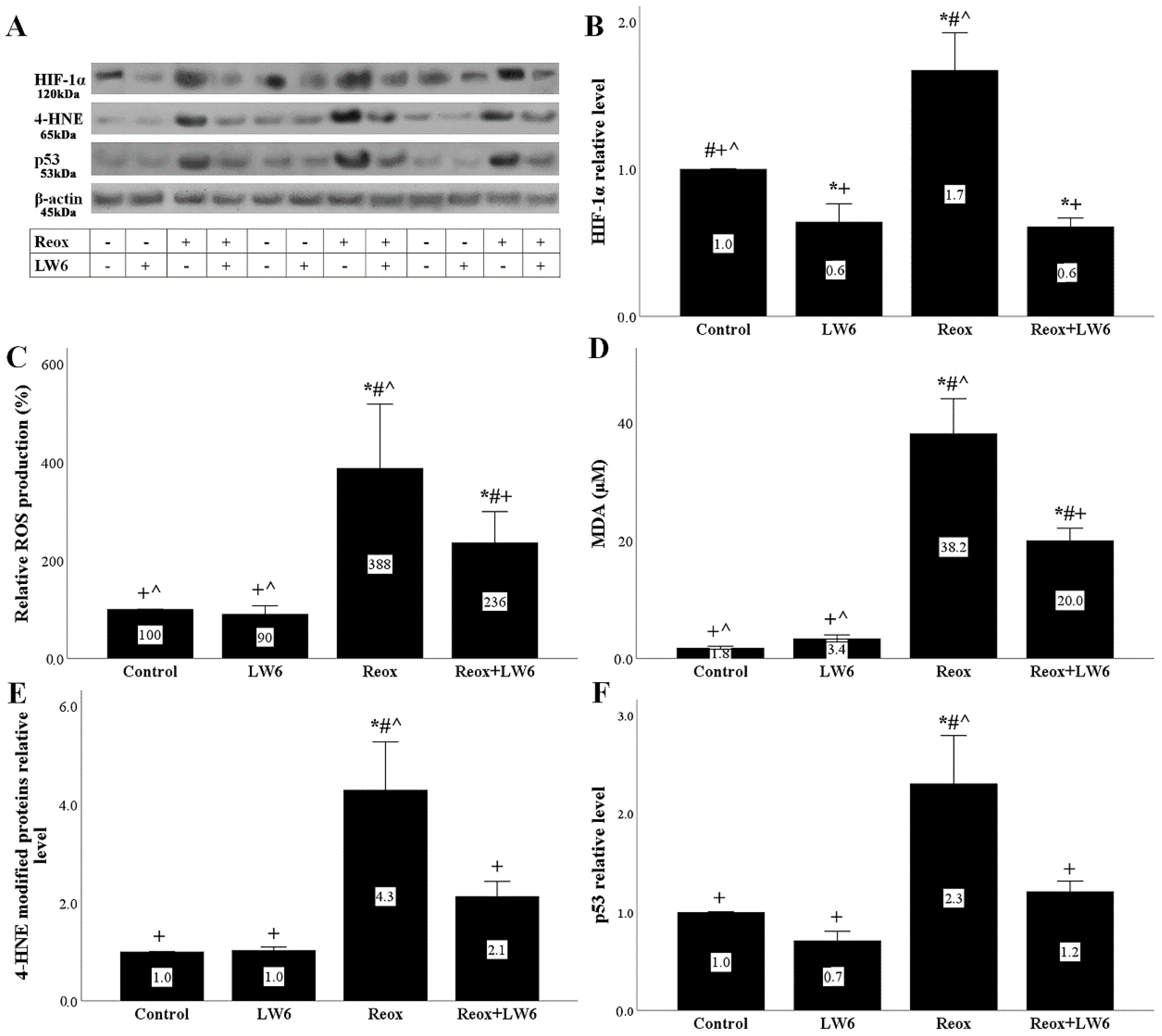 Biomolecules 12 01415 g003 Biomolecules 12 01415 g003