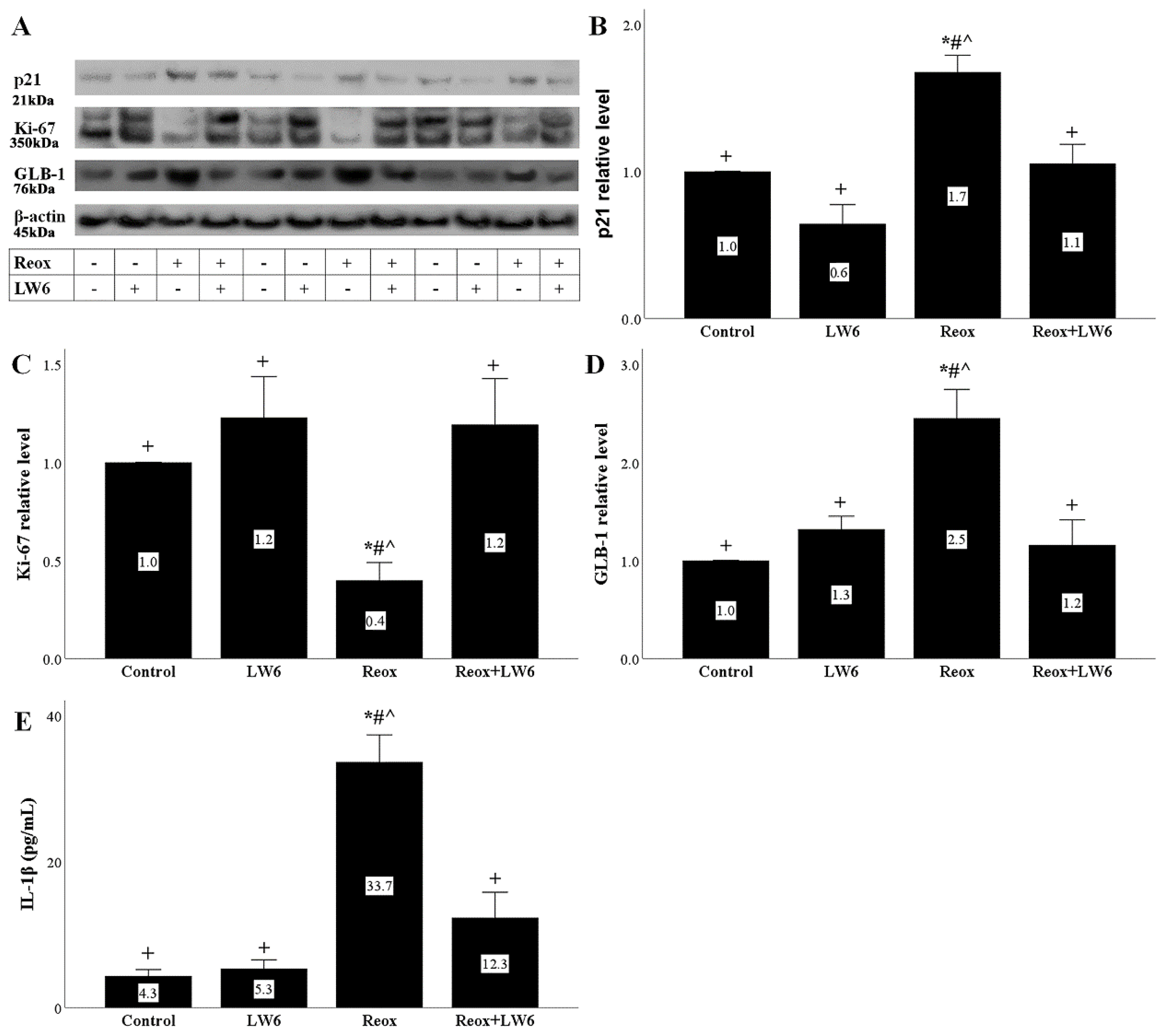 Biomolecules 12 01415 g005 Biomolecules 12 01415 g005