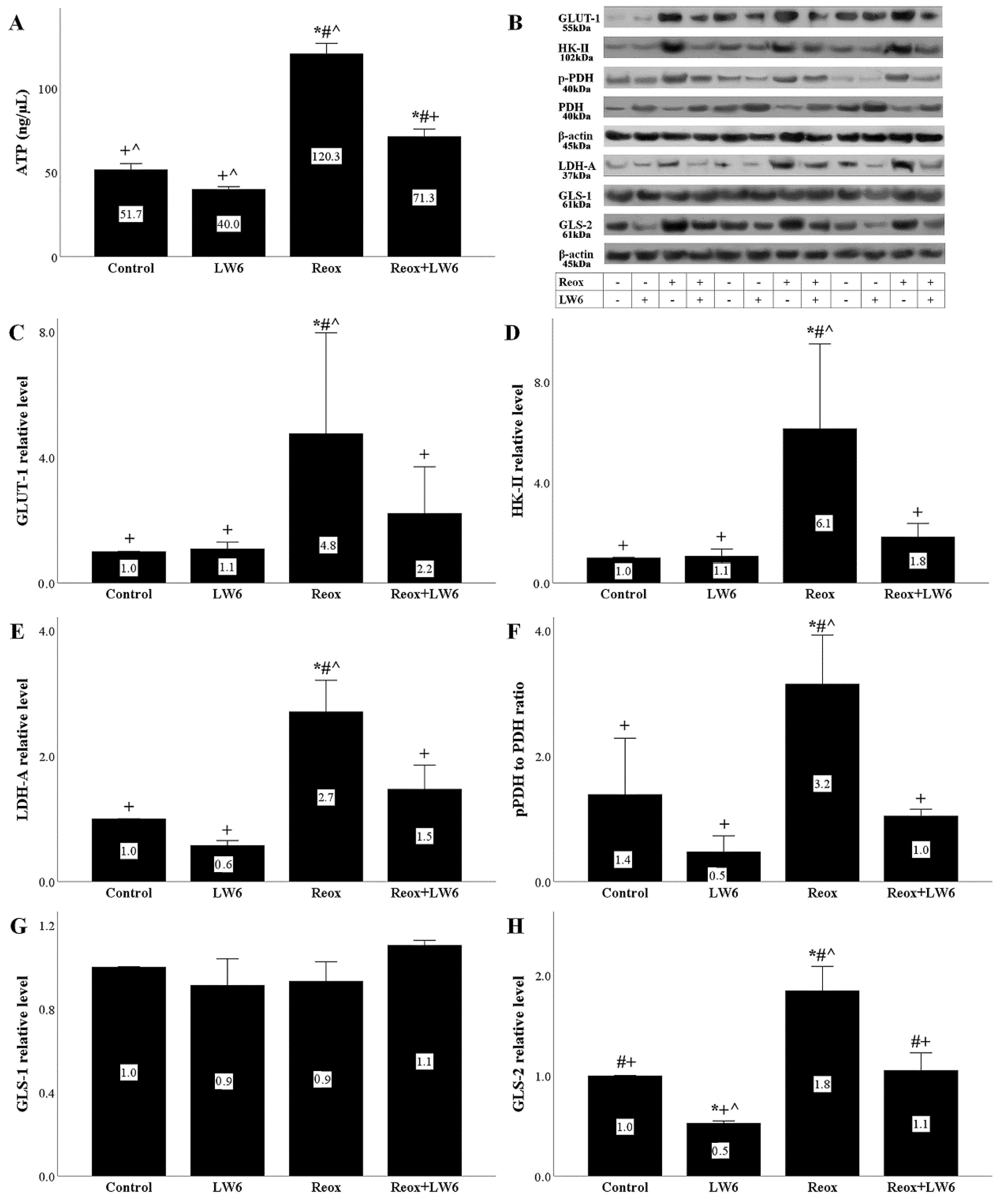 Biomolecules 12 01415 g007 Biomolecules 12 01415 g007