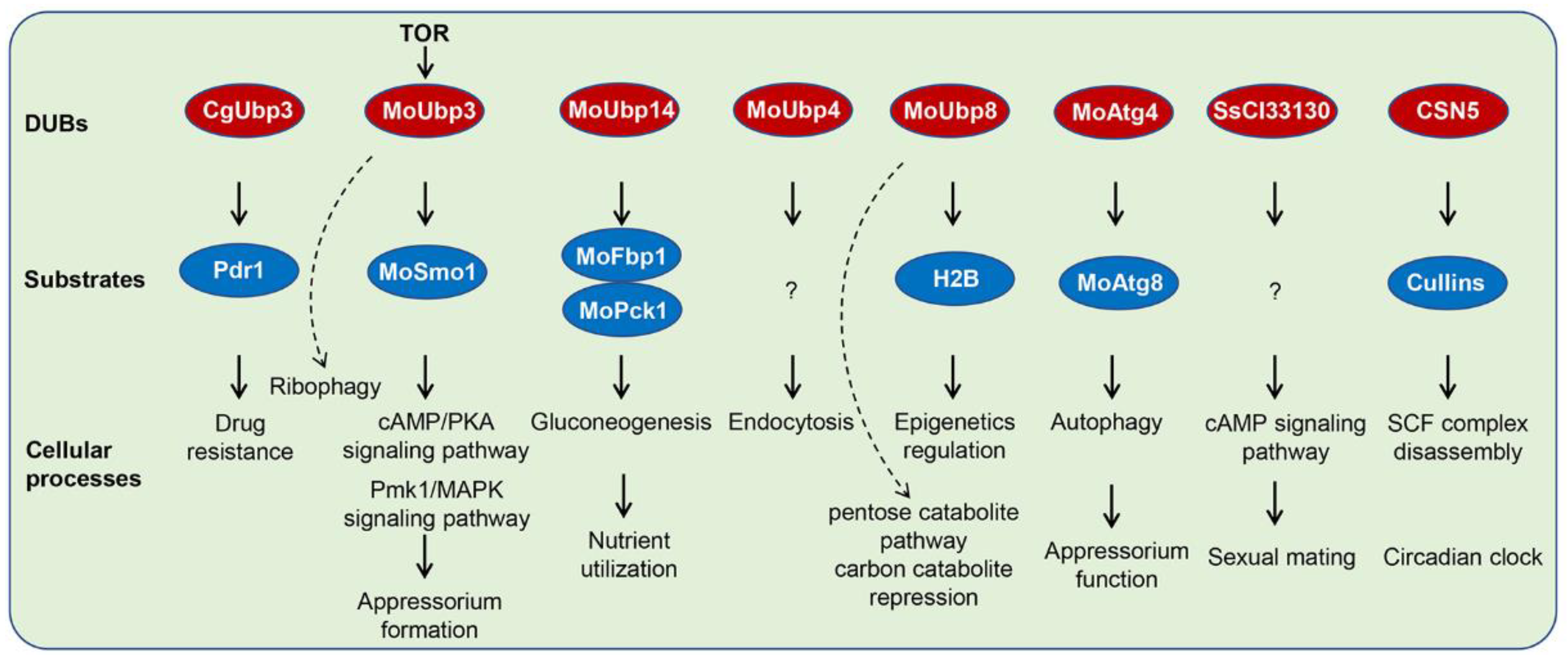 Biomolecules 12 01424 g003