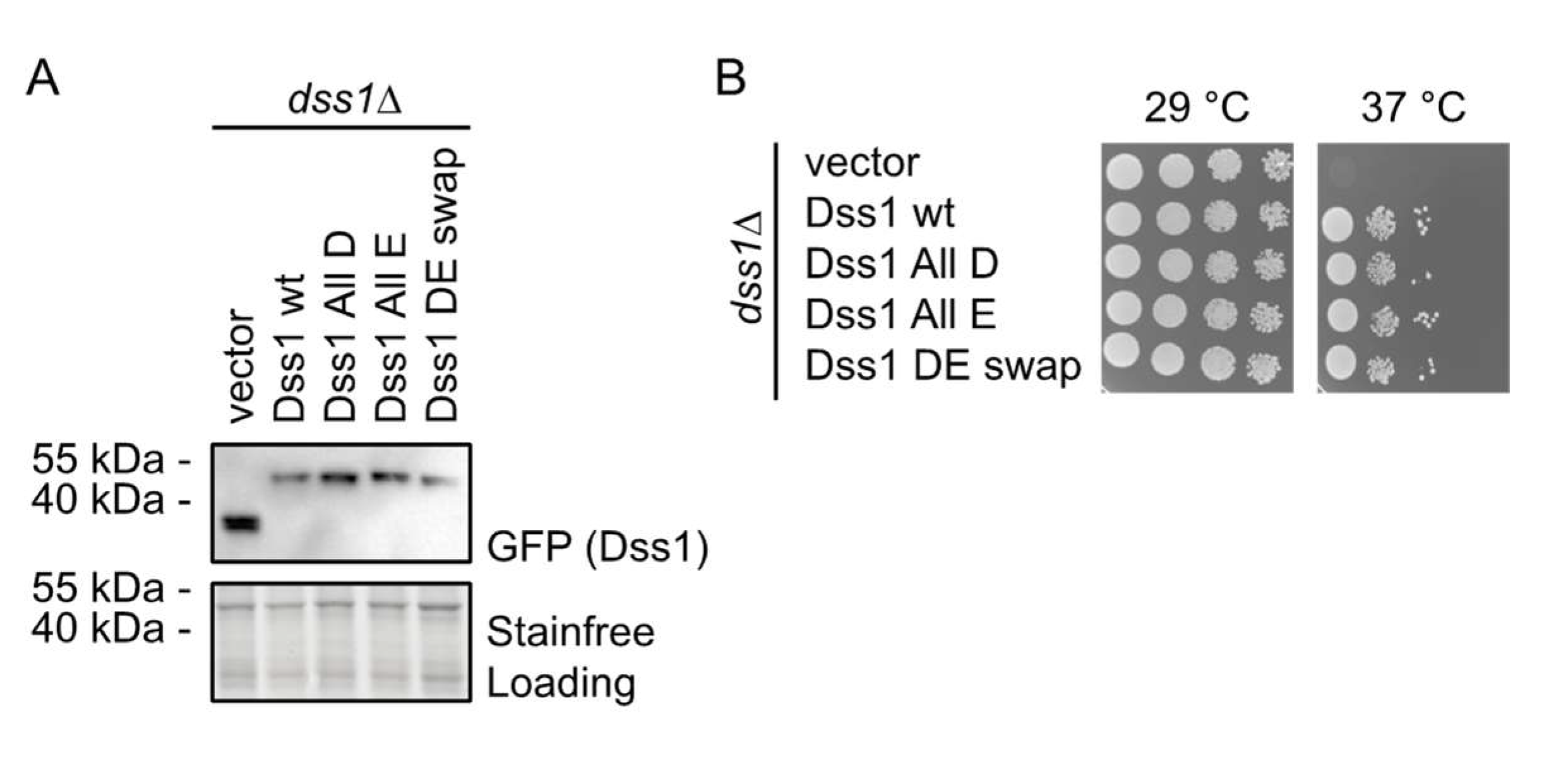 Biomolecules 12 01426 g003