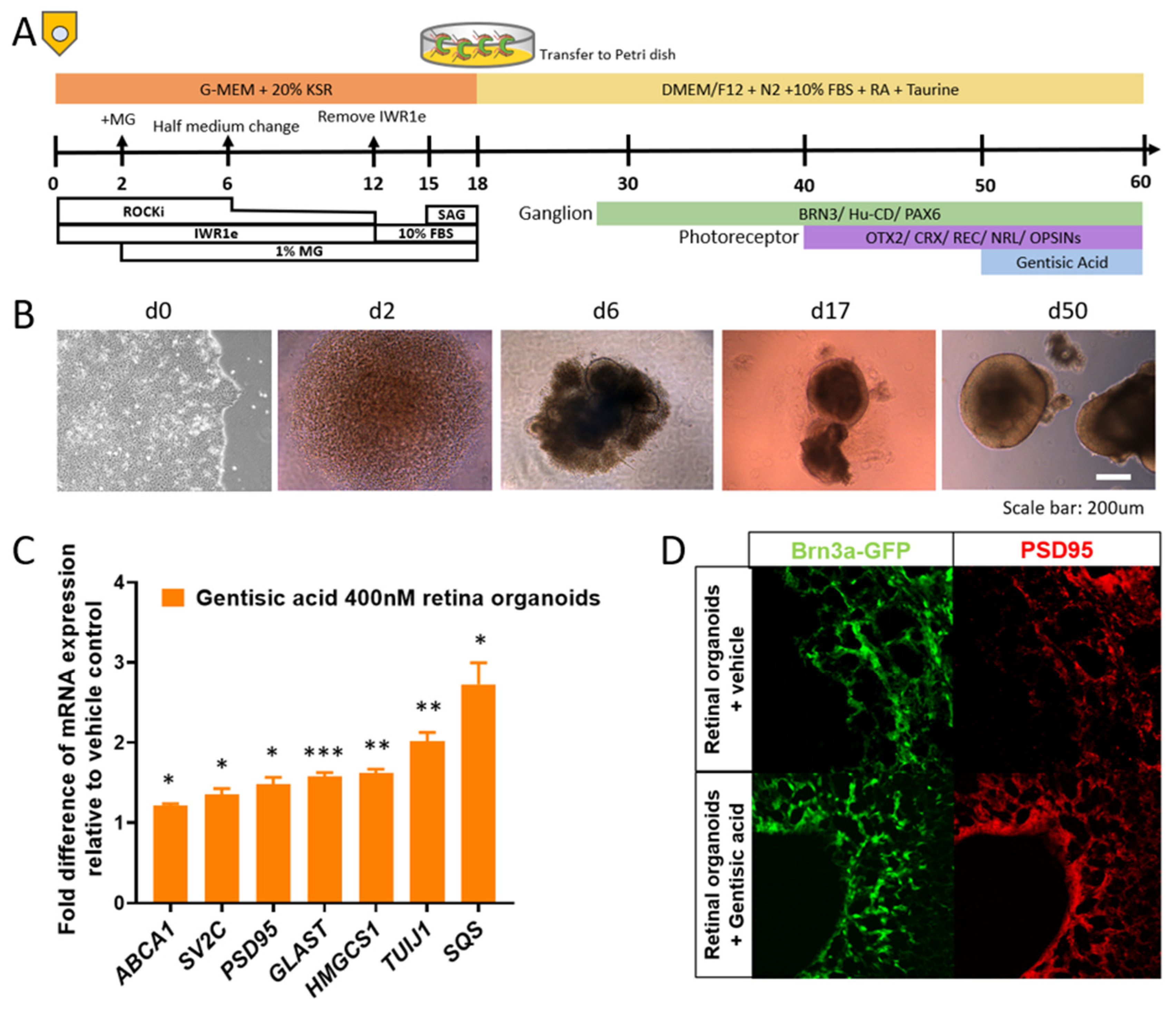 Biomolecules 12 01437 g001