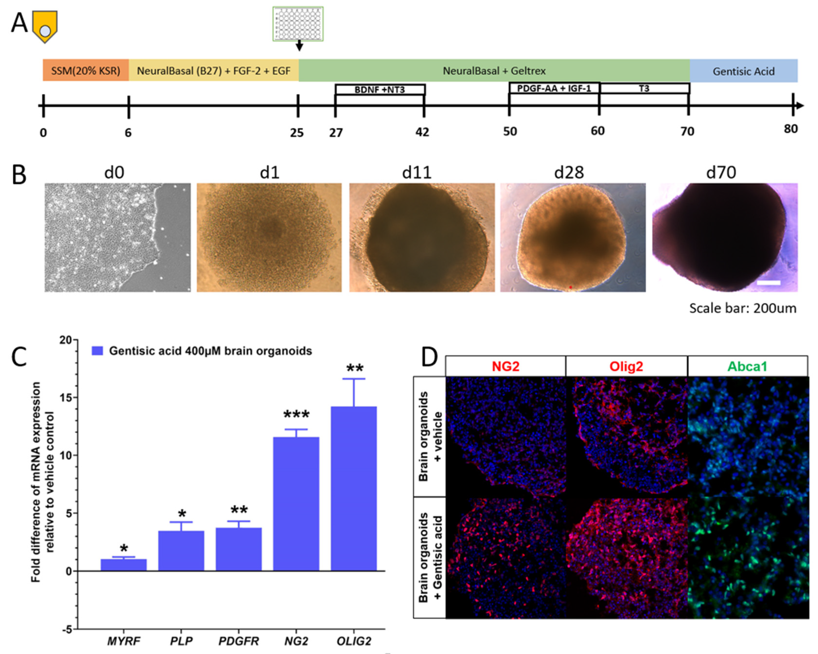 Biomolecules 12 01437 g002