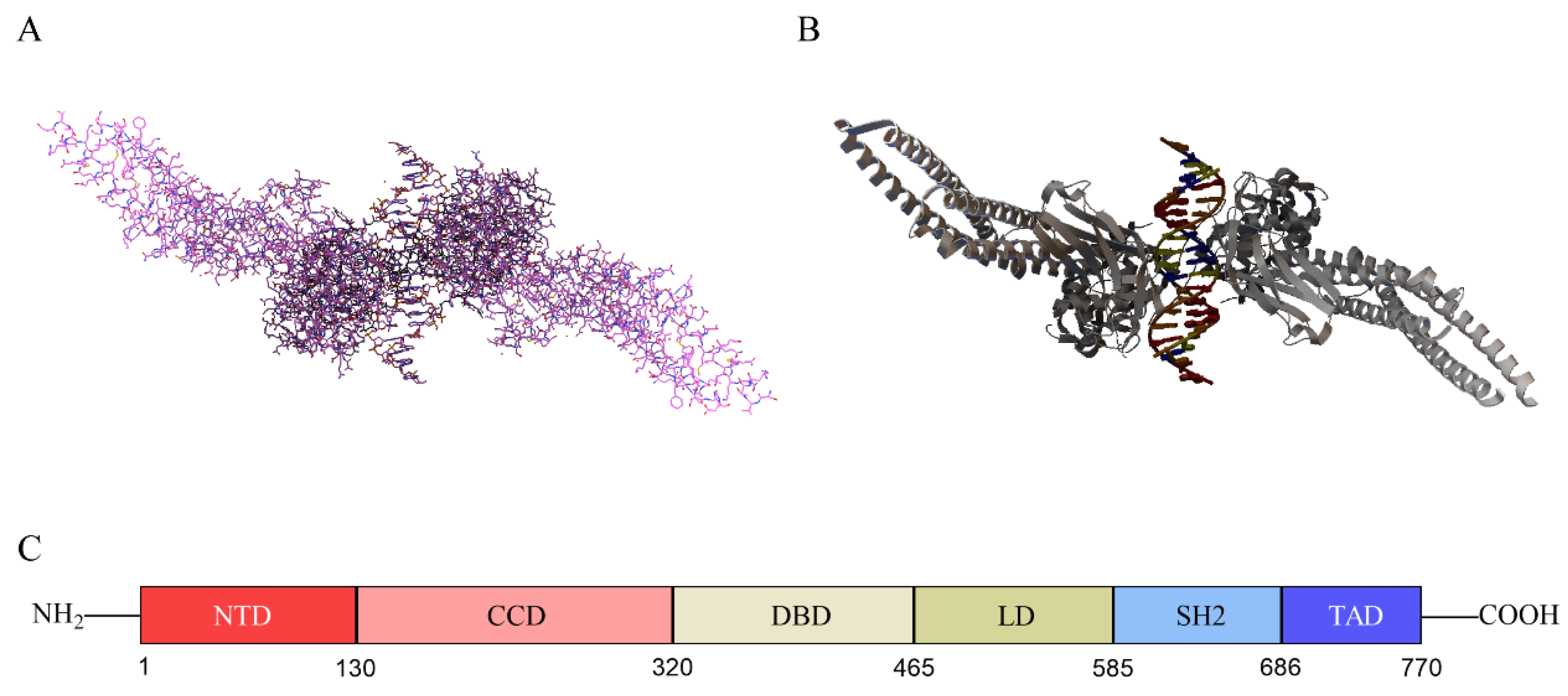 Biomolecules 12 01450 g001