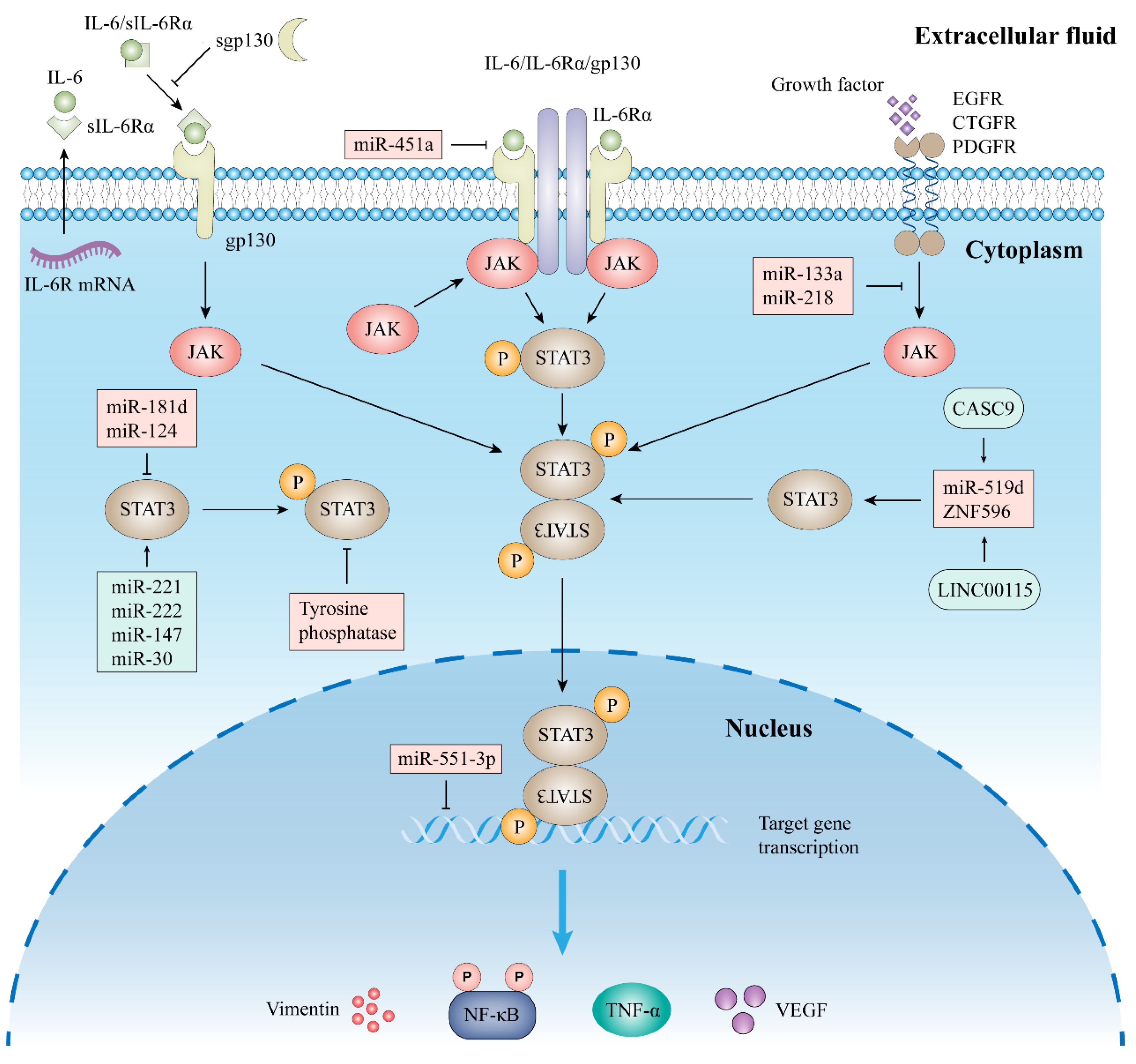 Biomolecules 12 01450 g002