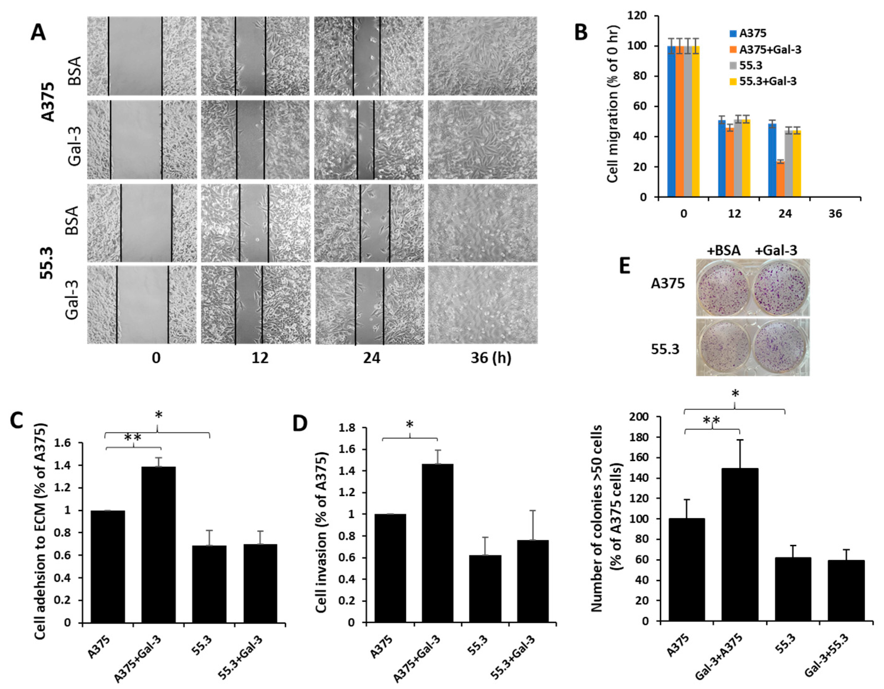 Biomolecules 12 01451 g006 Biomolecules 12 01451 g006
