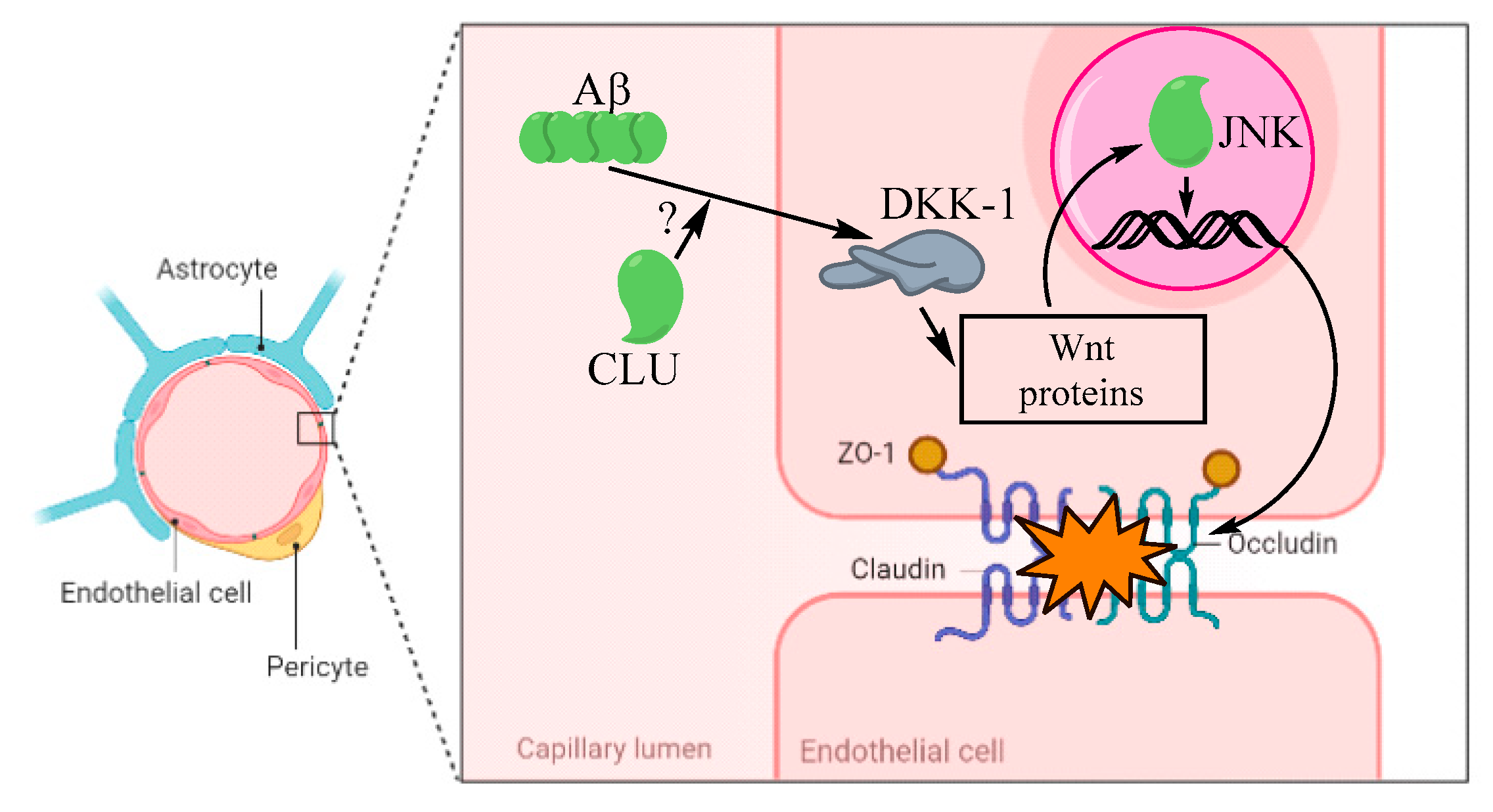 Biomolecules 12 01452 g004 Biomolecules 12 01452 g004