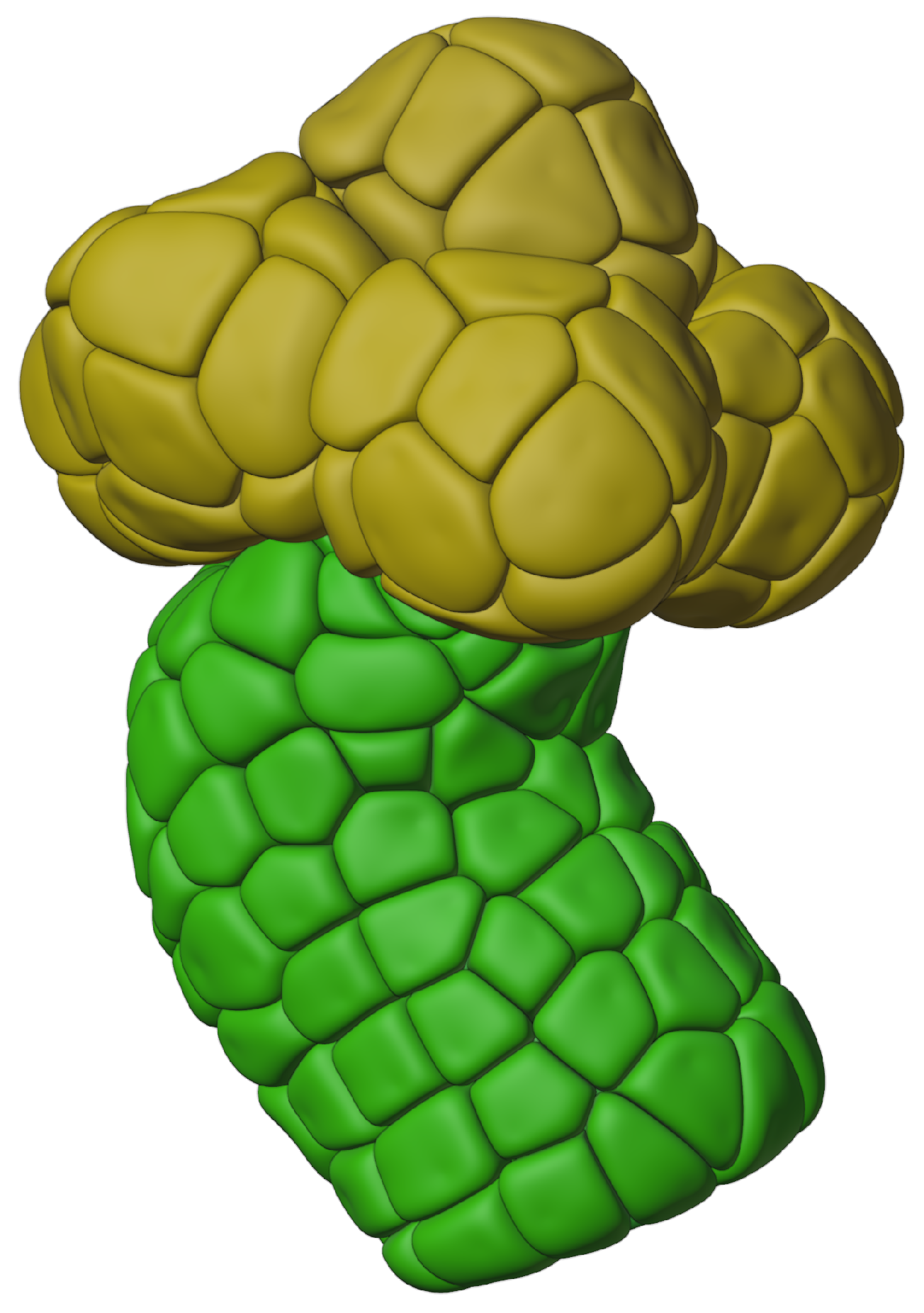 Biomolecules 12 01455 g003 Biomolecules 12 01455 g003