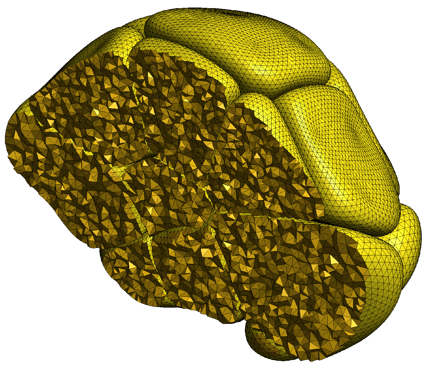 Biomolecules 12 01455 g006 Biomolecules 12 01455 g006
