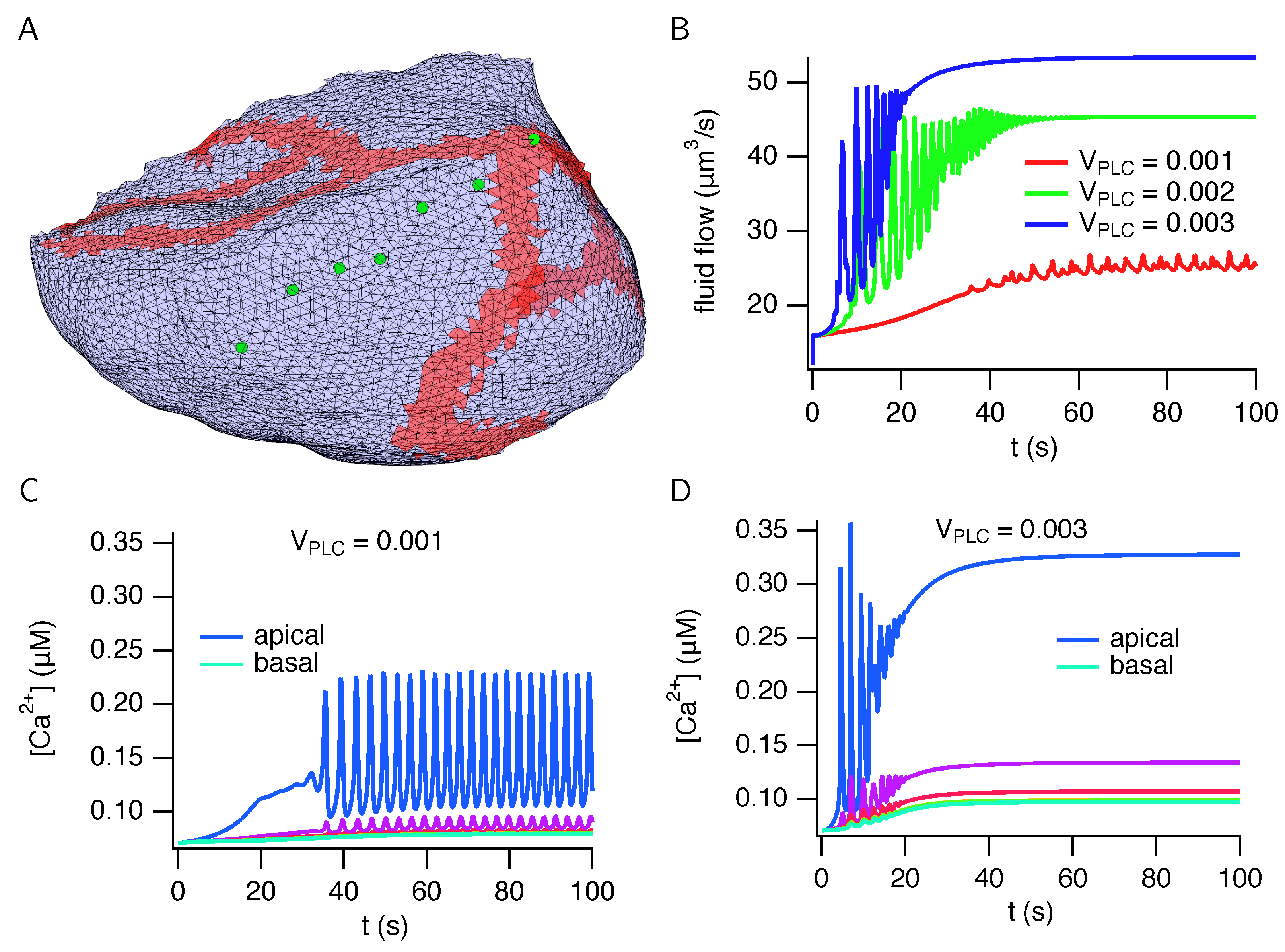 Biomolecules 12 01455 g008 Biomolecules 12 01455 g008