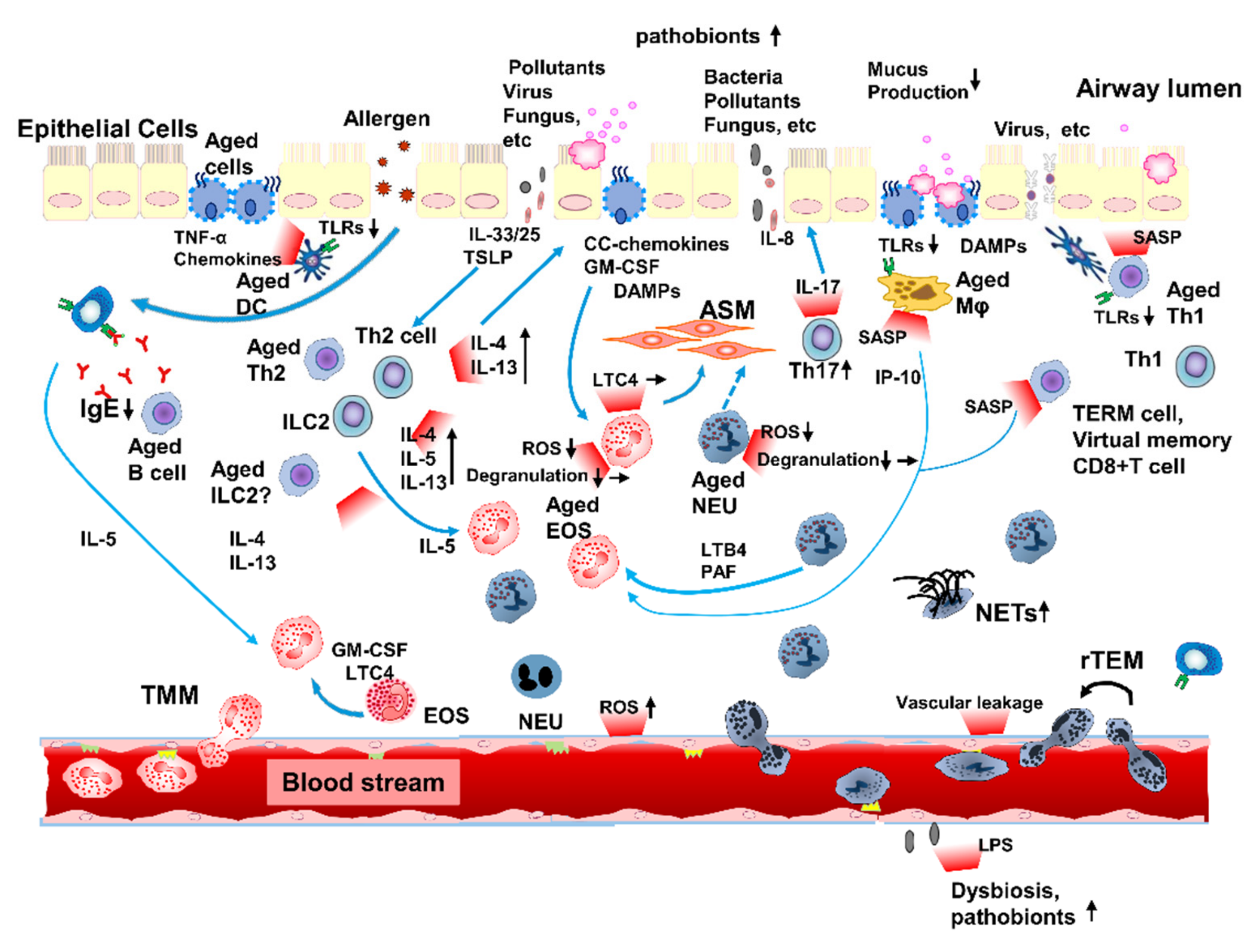 Biomolecules 12 01456 g002