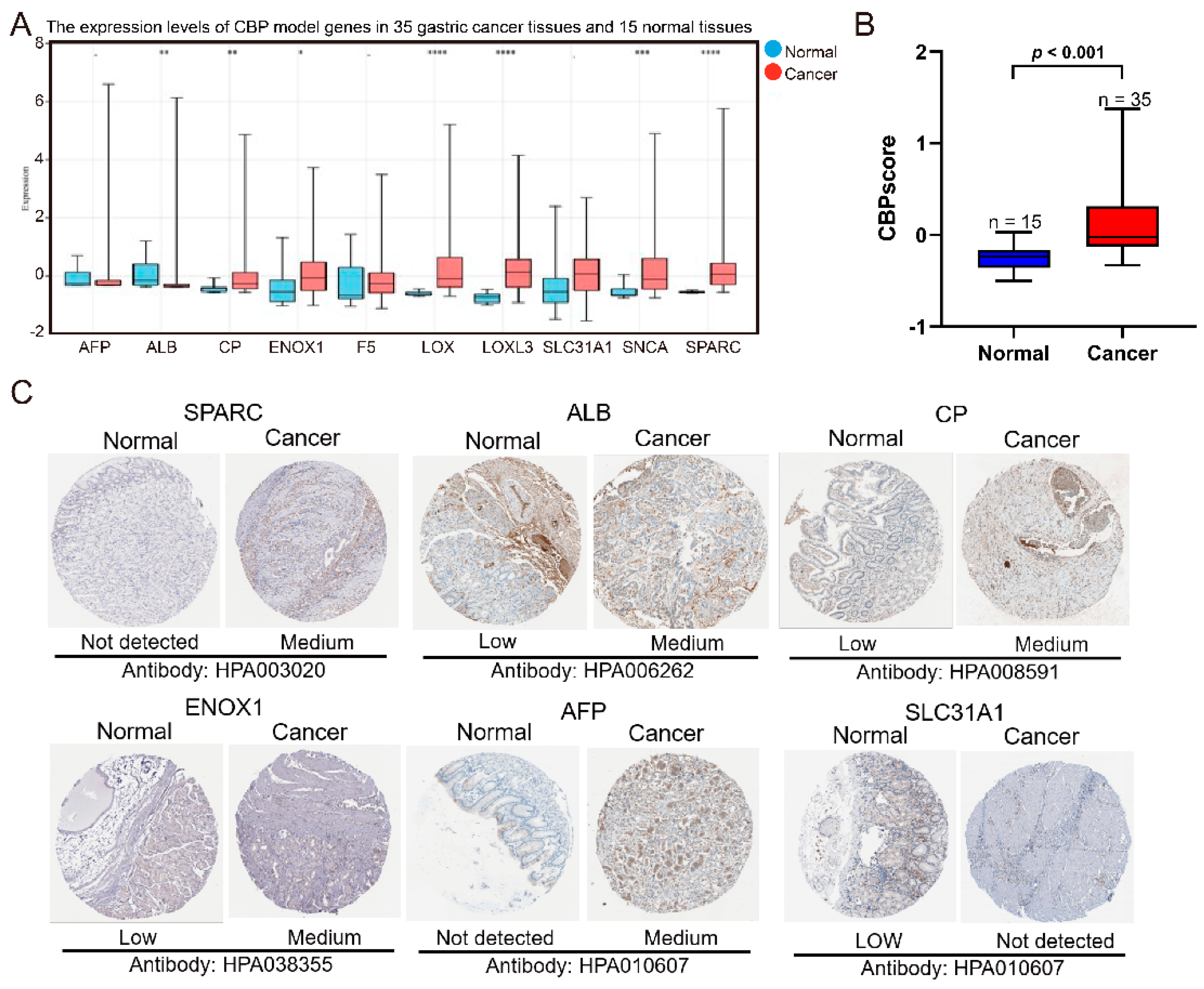 Biomolecules 12 01459 g002