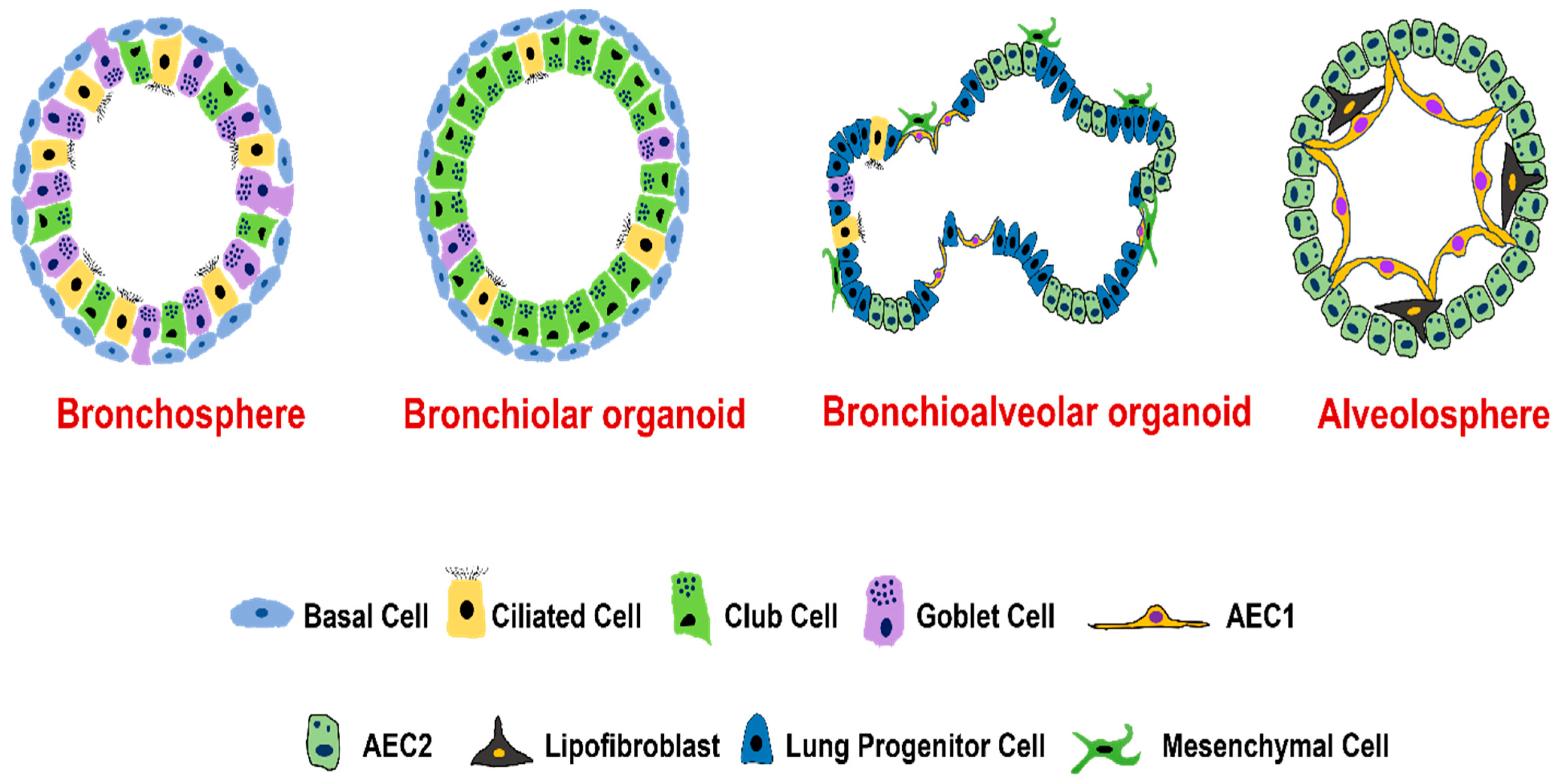 Biomolecules 12 01463 g002 Biomolecules 12 01463 g002