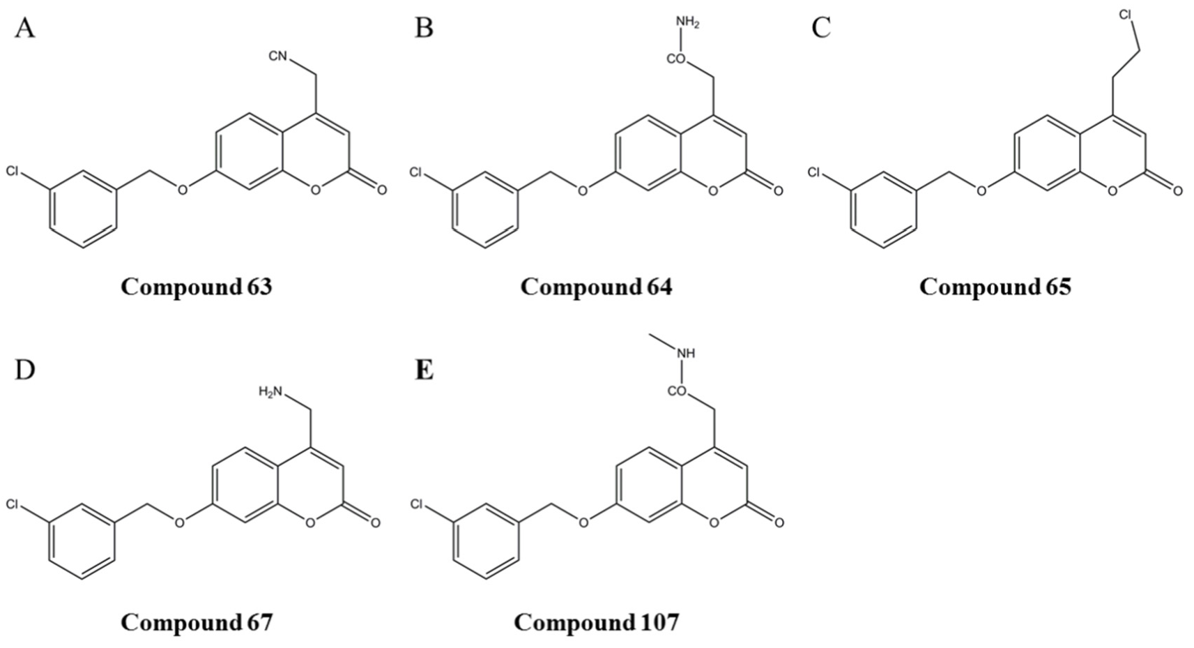 Biomolecules 12 01470 g004