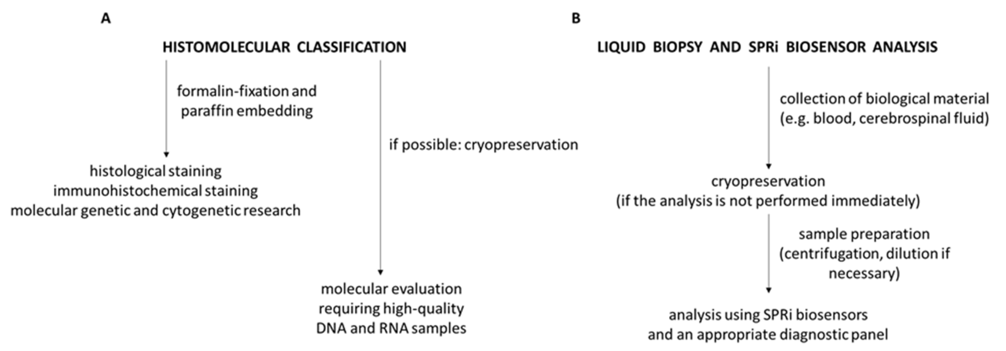 Biomolecules 12 01477 g001 Biomolecules 12 01477 g001
