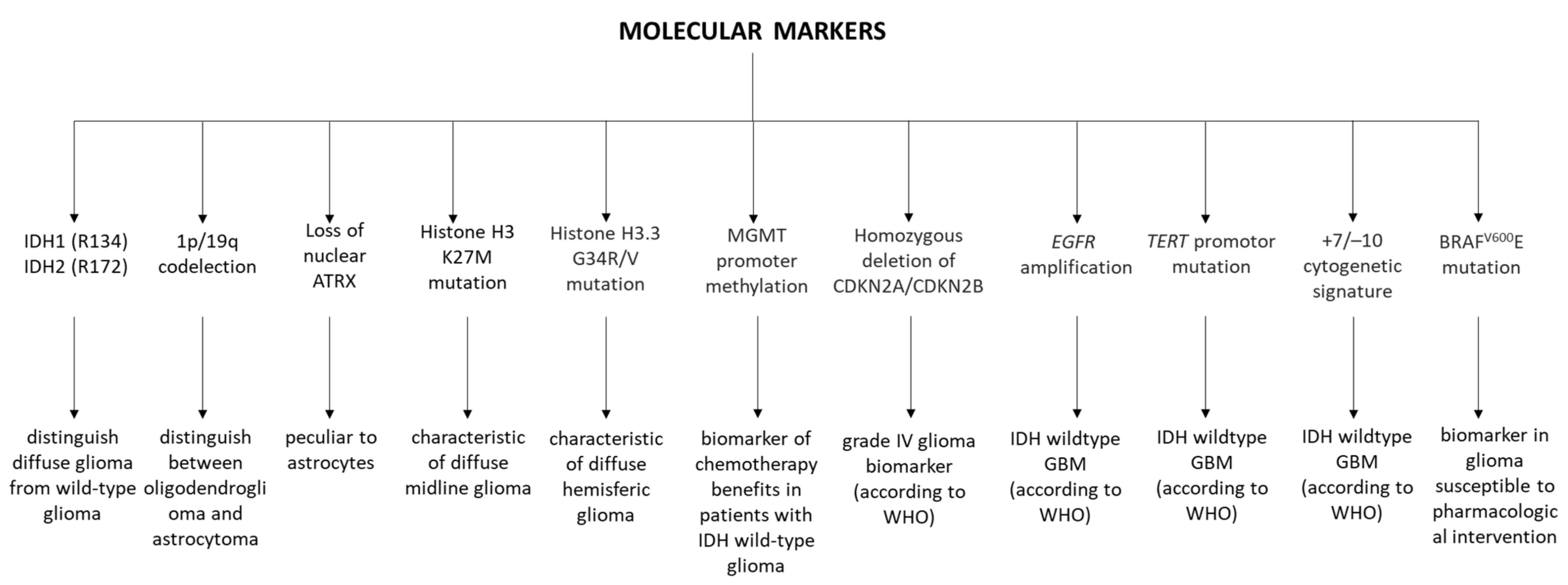 Biomolecules 12 01477 g002 Biomolecules 12 01477 g002