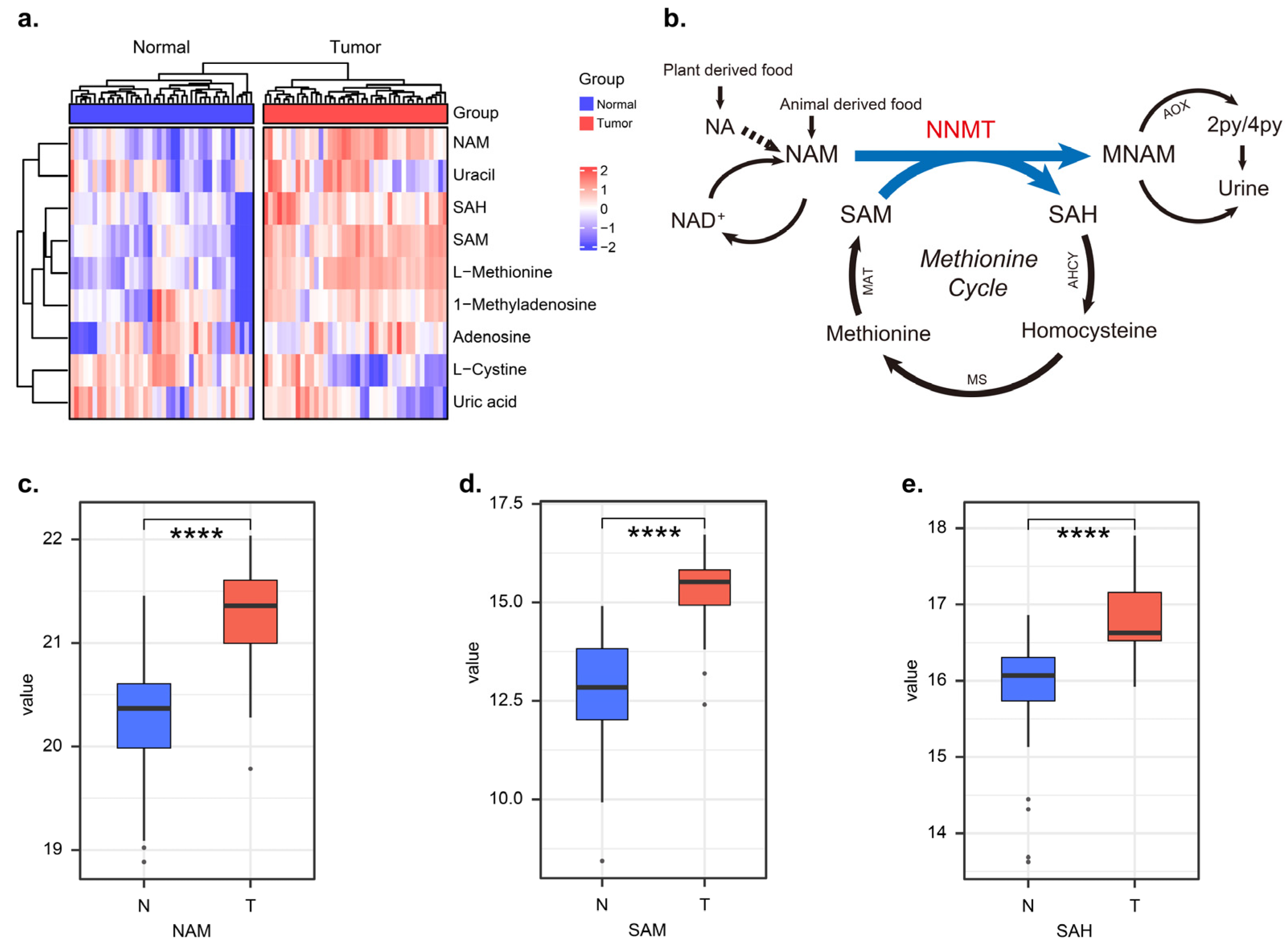 Biomolecules 12 01487 g001 Biomolecules 12 01487 g001